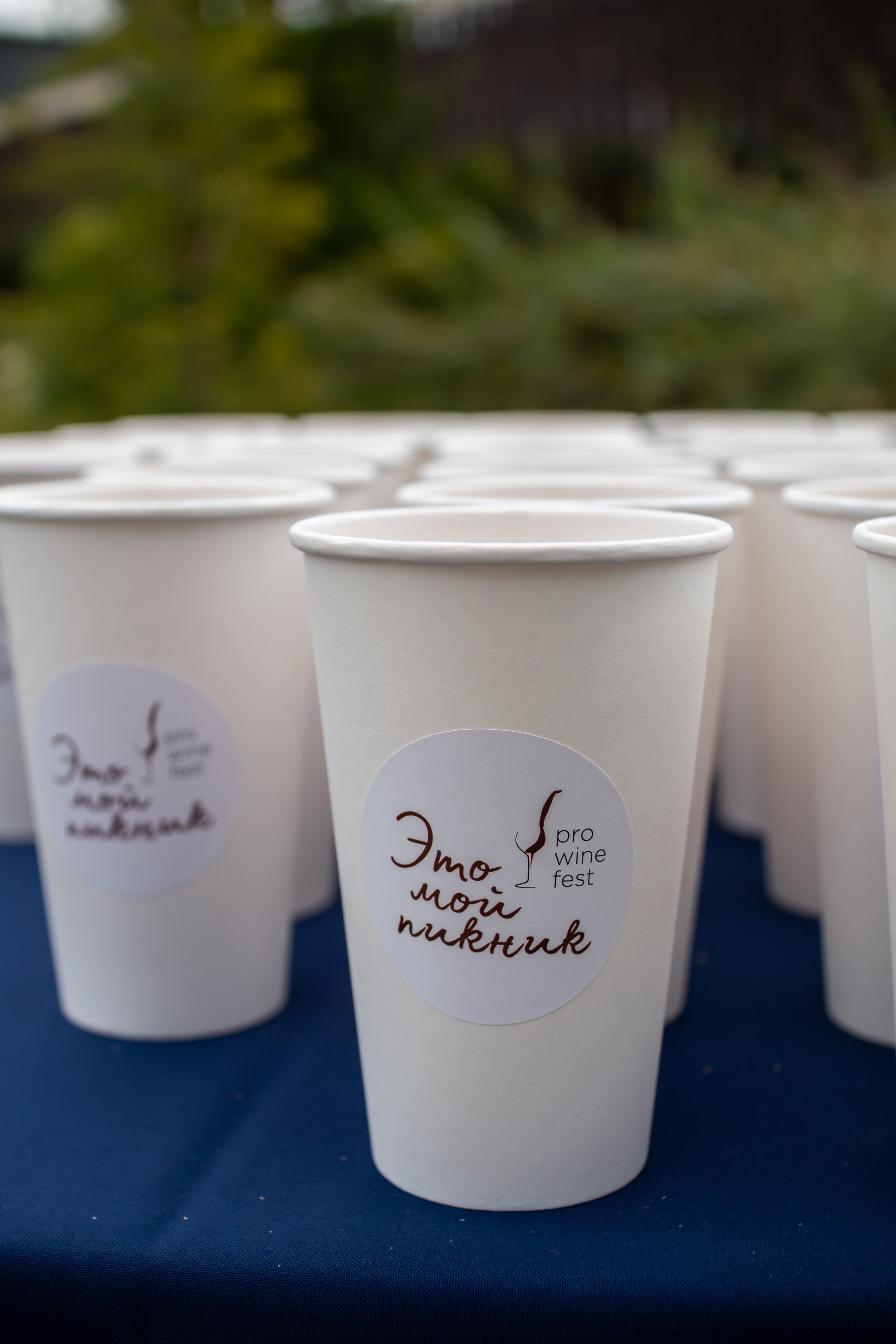 Винный фестиваль PRO WINE. Фотограф в Новосибирске Екатерина Васильева