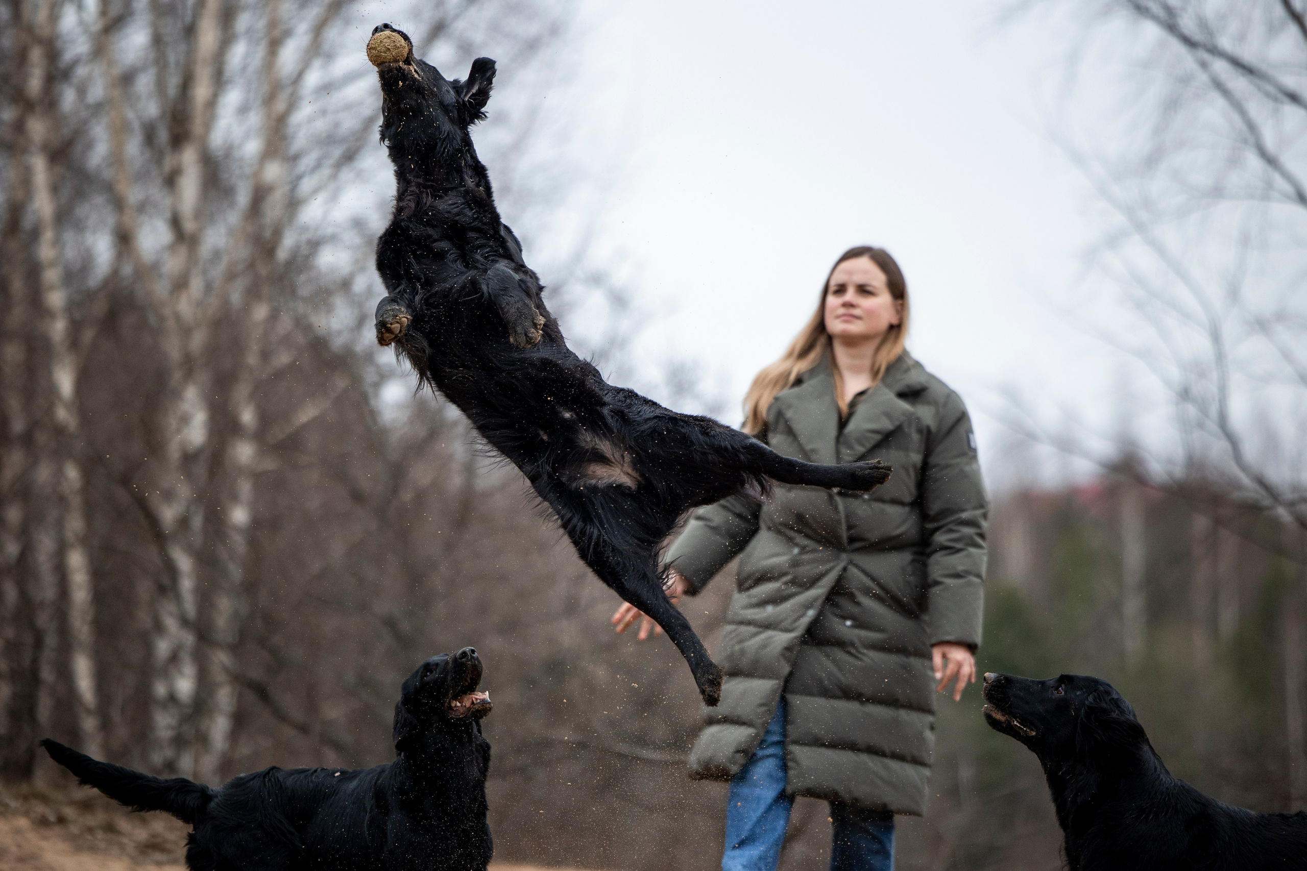 Ора, Ева, Рози и их семья. Фотограф — Анималист | Санкт-Петербург