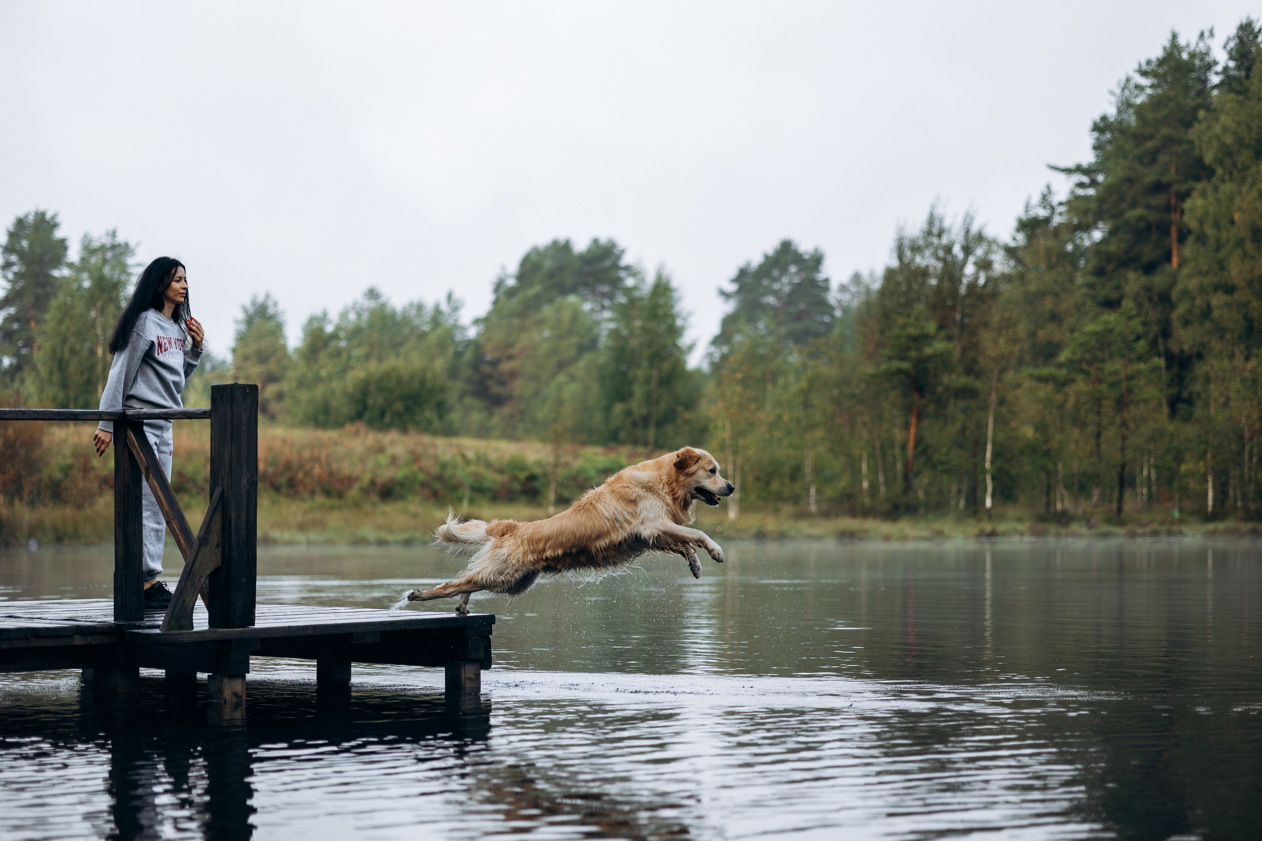 Лёва и его семья. Фотограф — Анималист | Санкт-Петербург