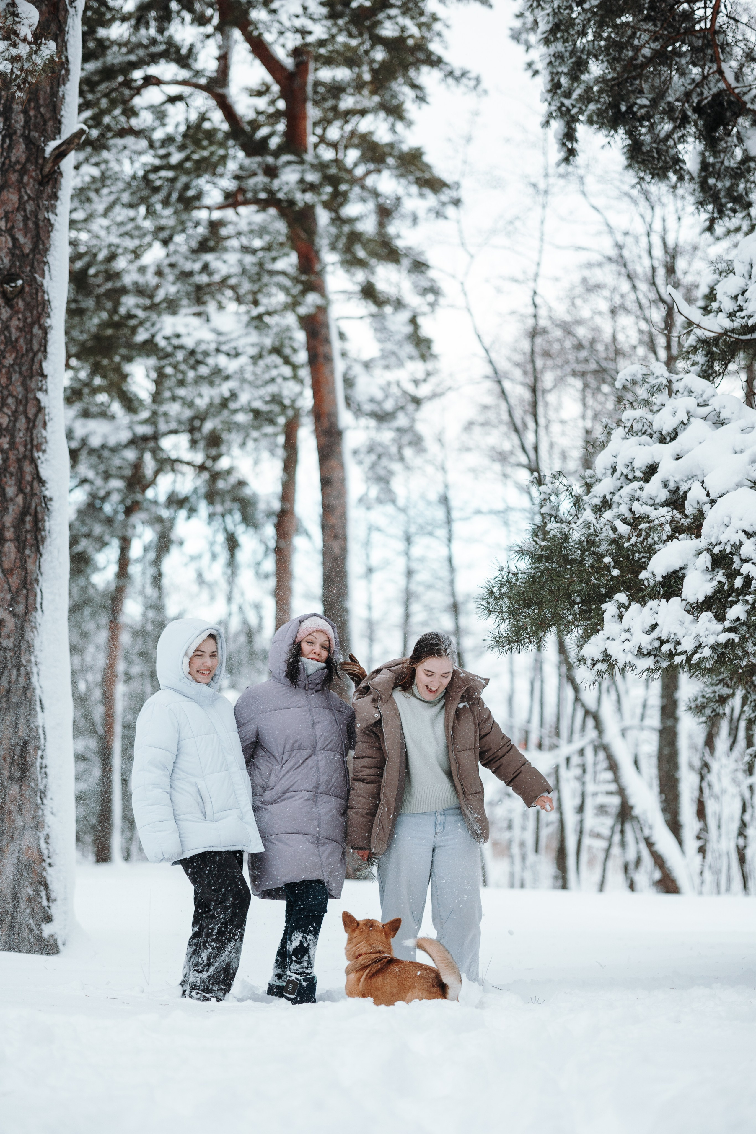Оливка и ее семья. Фотограф — Анималист | Санкт-Петербург