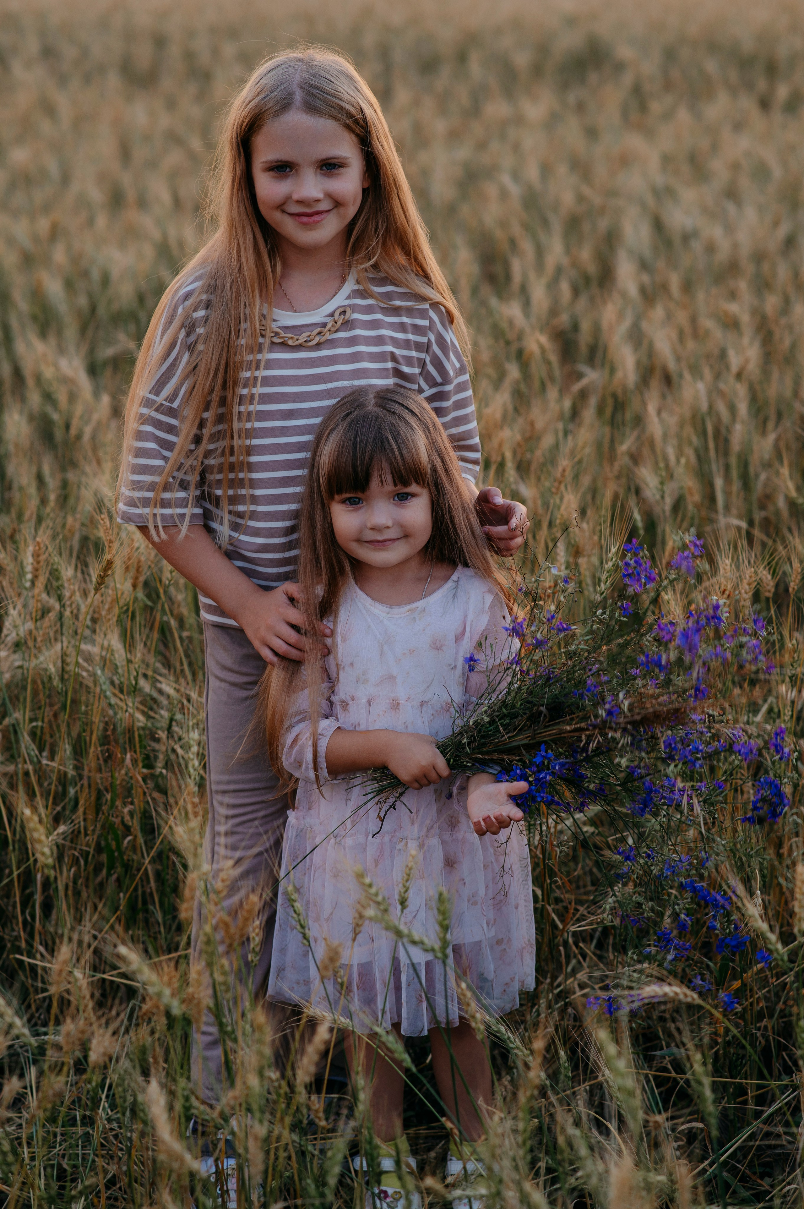 Пшеничный закат. Фотограф Дарья Семина