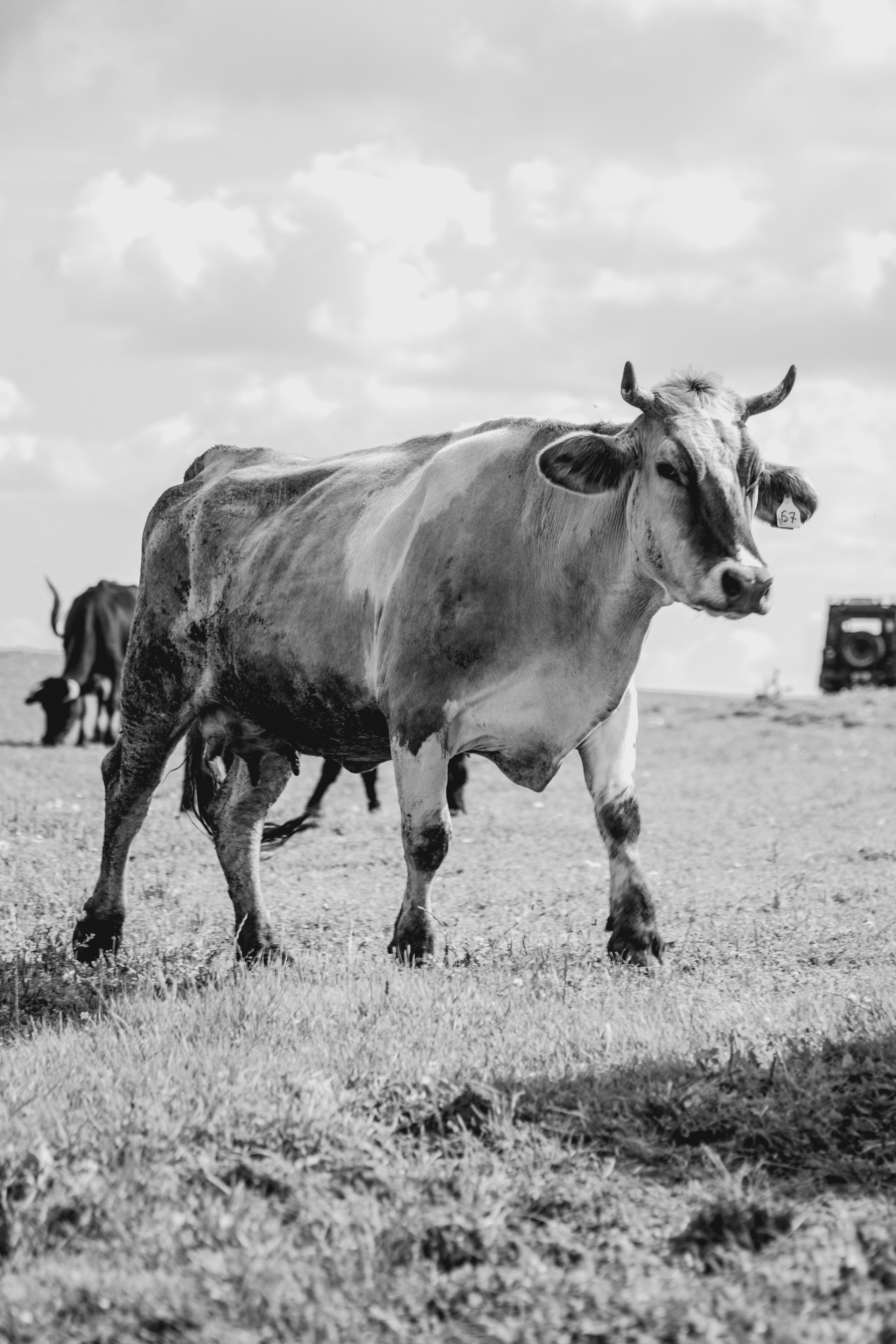 Элла Ферма. Юлия Космо — фуд-фотограф, предметный стилист, Москва