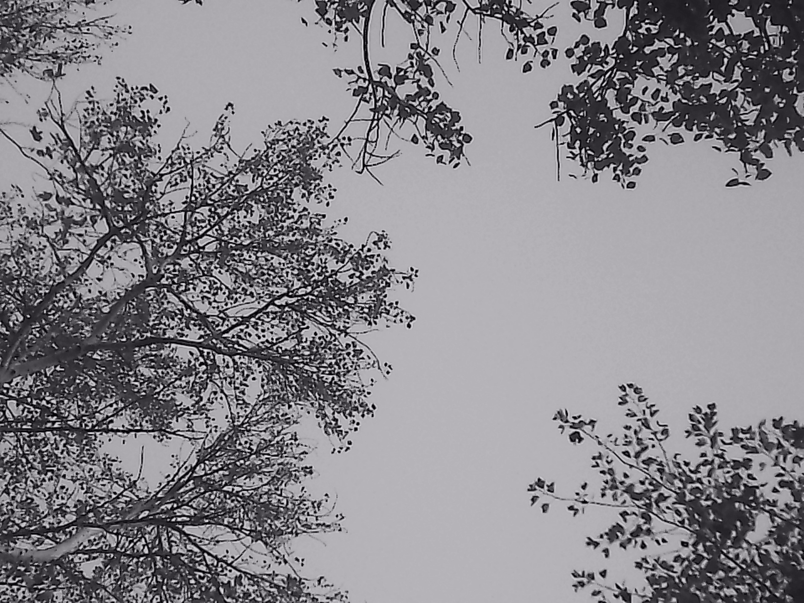 «Крошка 🐣». Anita_photo