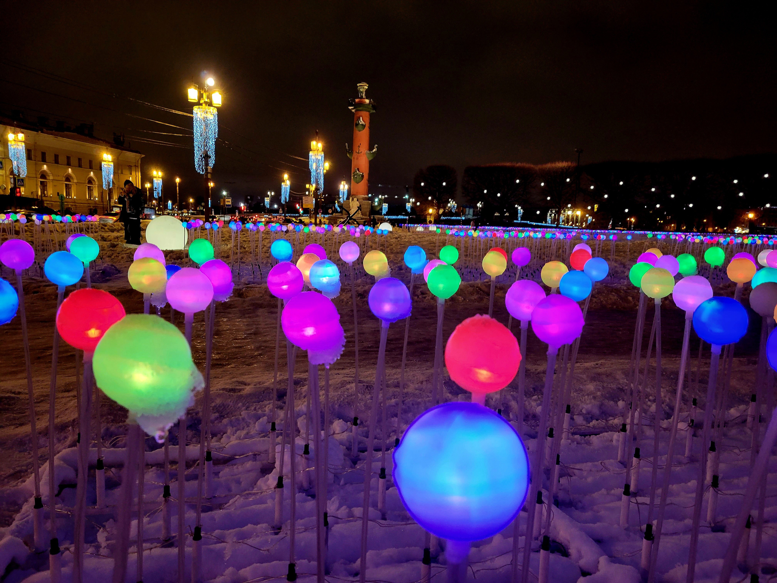 Разноцветное поле уже не первый год, но радует по-прежнему