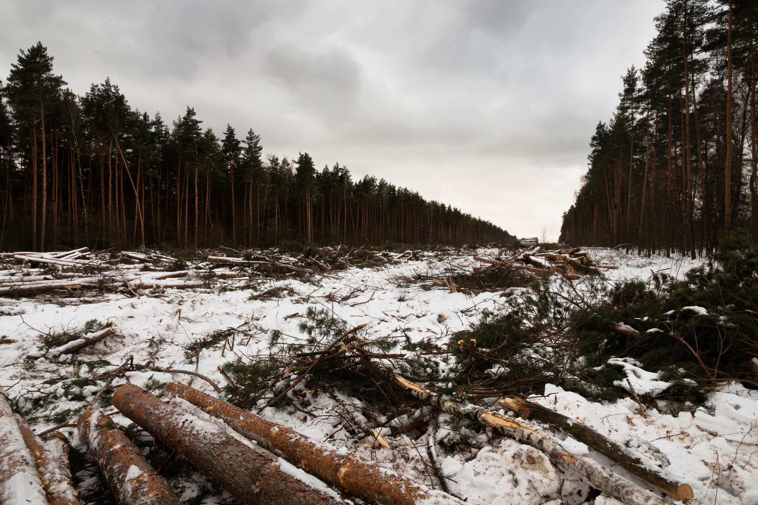 Я здесь живу. DASHA KALNINA