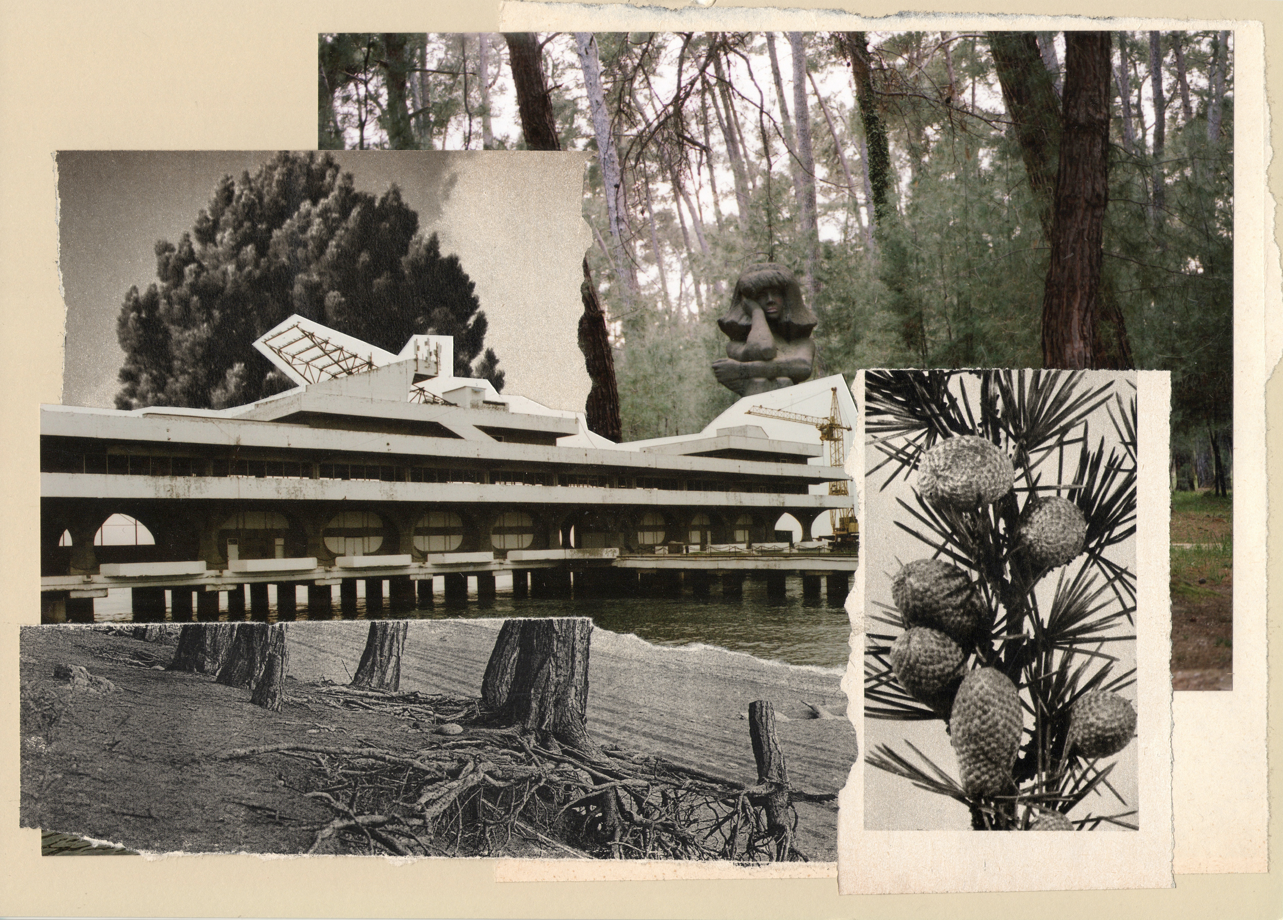 Выставка Лилит Матевосян | Краснодар. Курортное дело