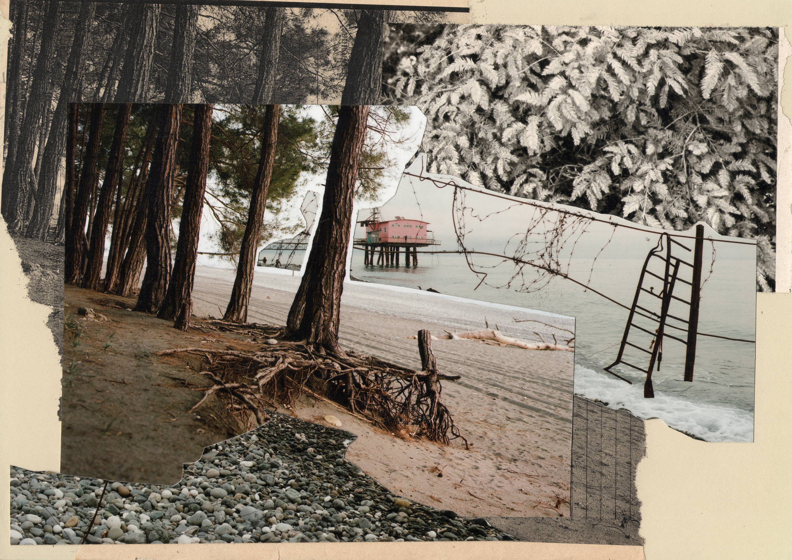 Выставка Лилит Матевосян | Краснодар. Курортное дело