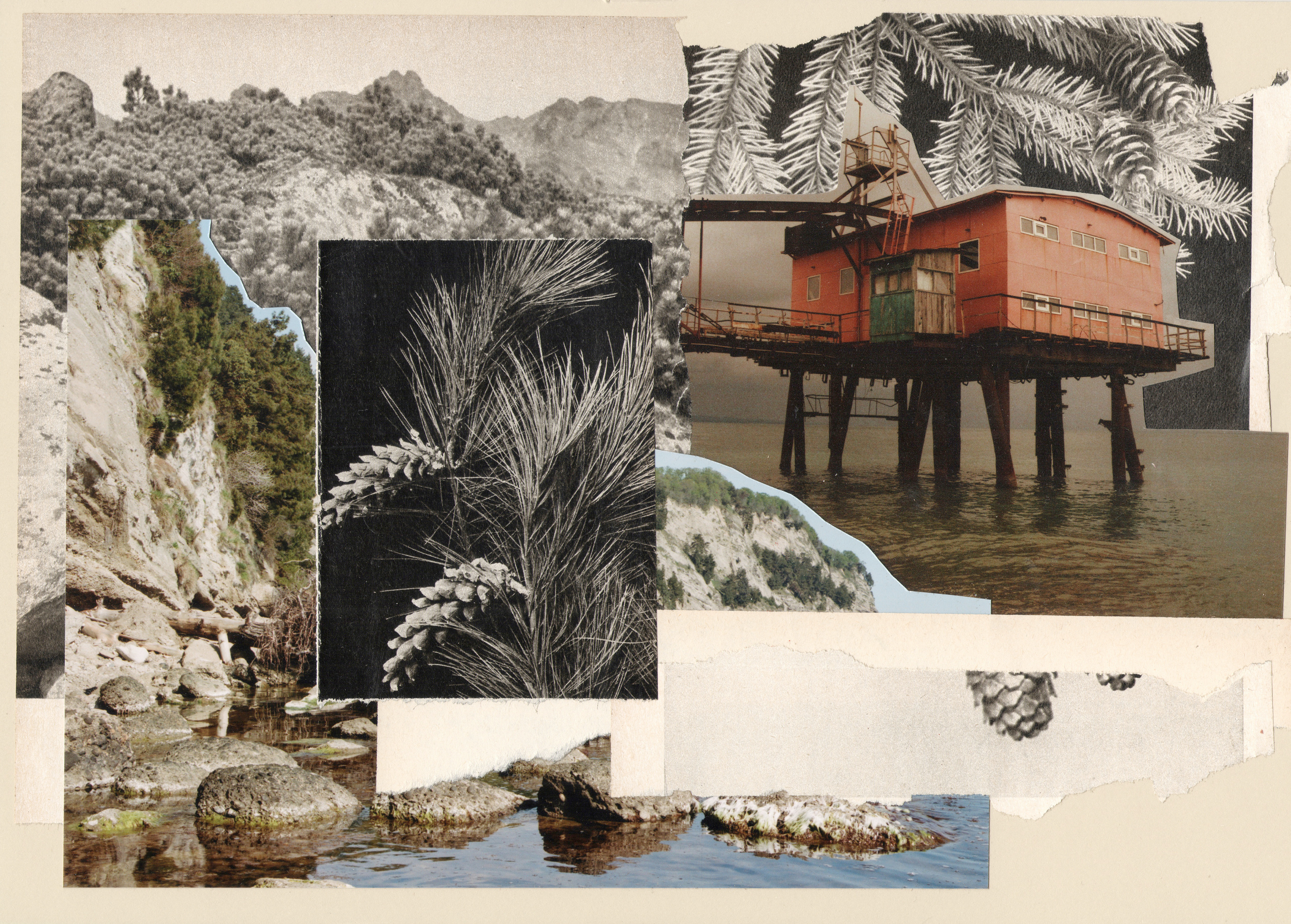 Выставка Лилит Матевосян | Краснодар. Курортное дело