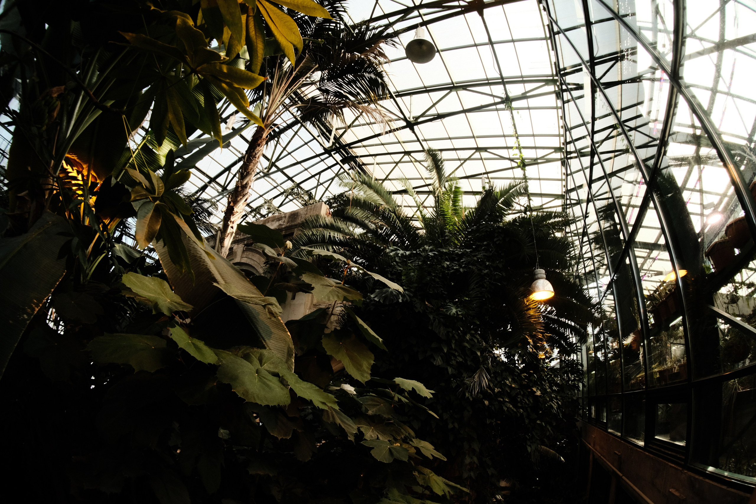 Аптекарский огород. Фотограф-любитель из Кирова Андрей Погребняк