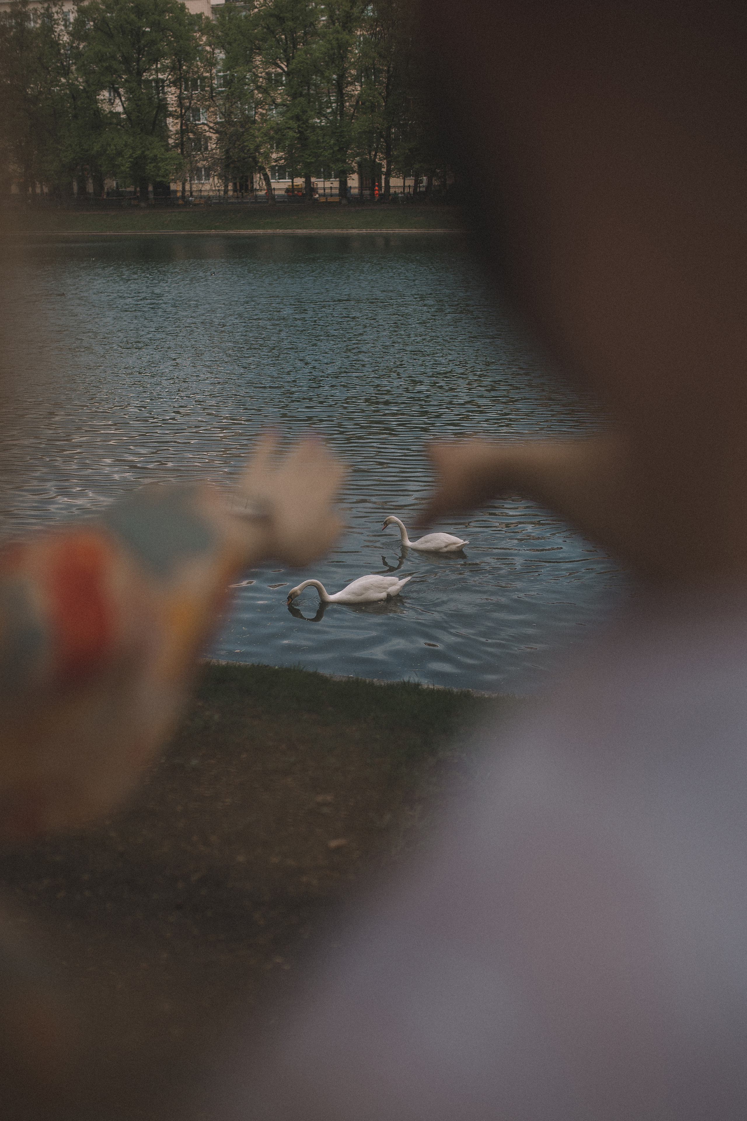 О&Д | Москва. Фотограф Екатерина Амбрушкевич