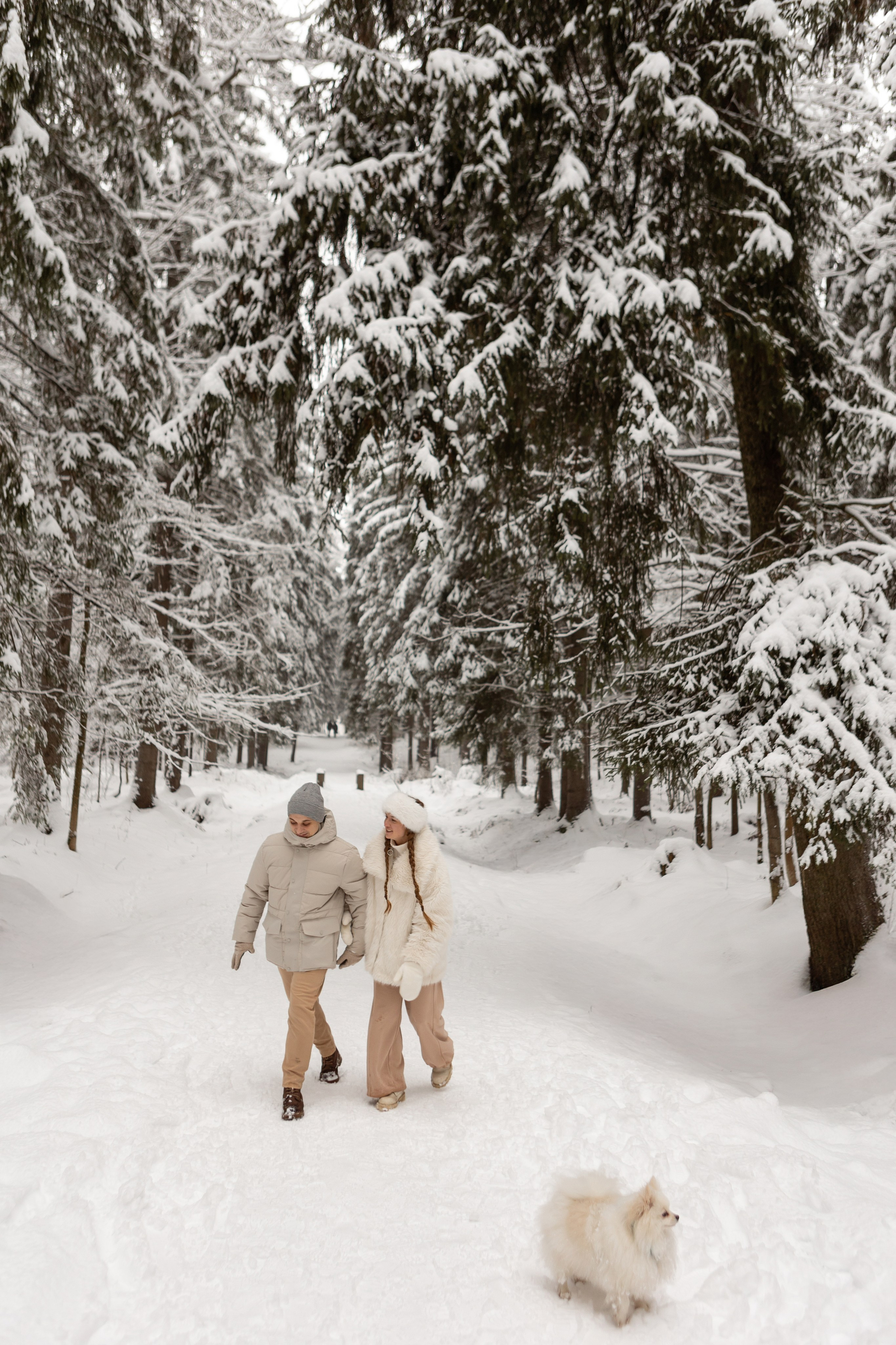 Новогодняя фотосессия с собачками в шуваловском парке. Свадебный фотограф в СПБ | Санкт-Петербурге Анастасия Рахимгулова