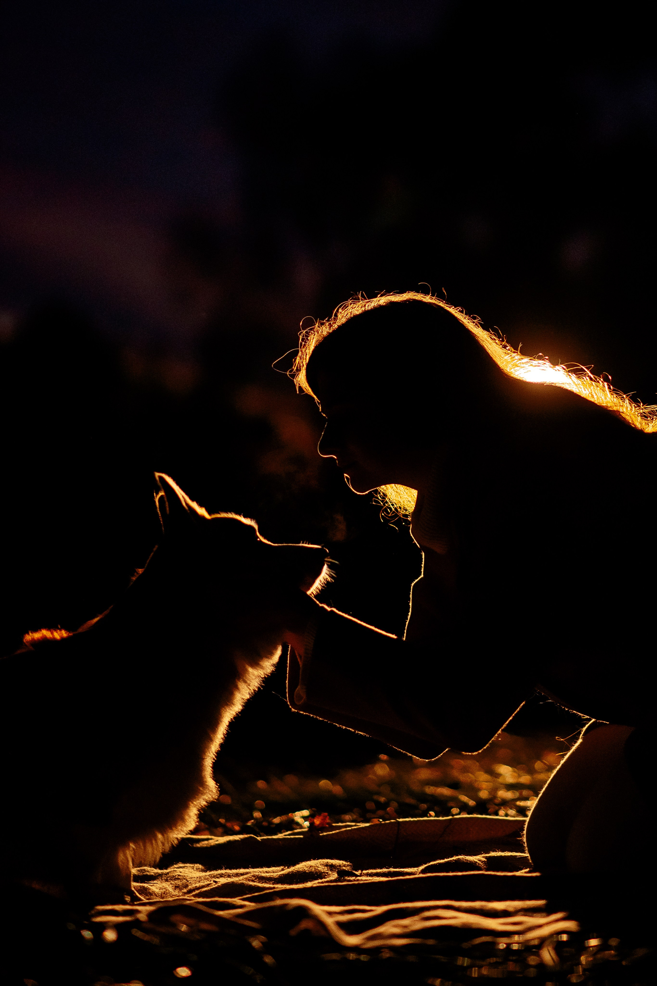 Максим, Аня и Челси — 19.10.2024. Фотограф — Анималист | Анна Абрамова