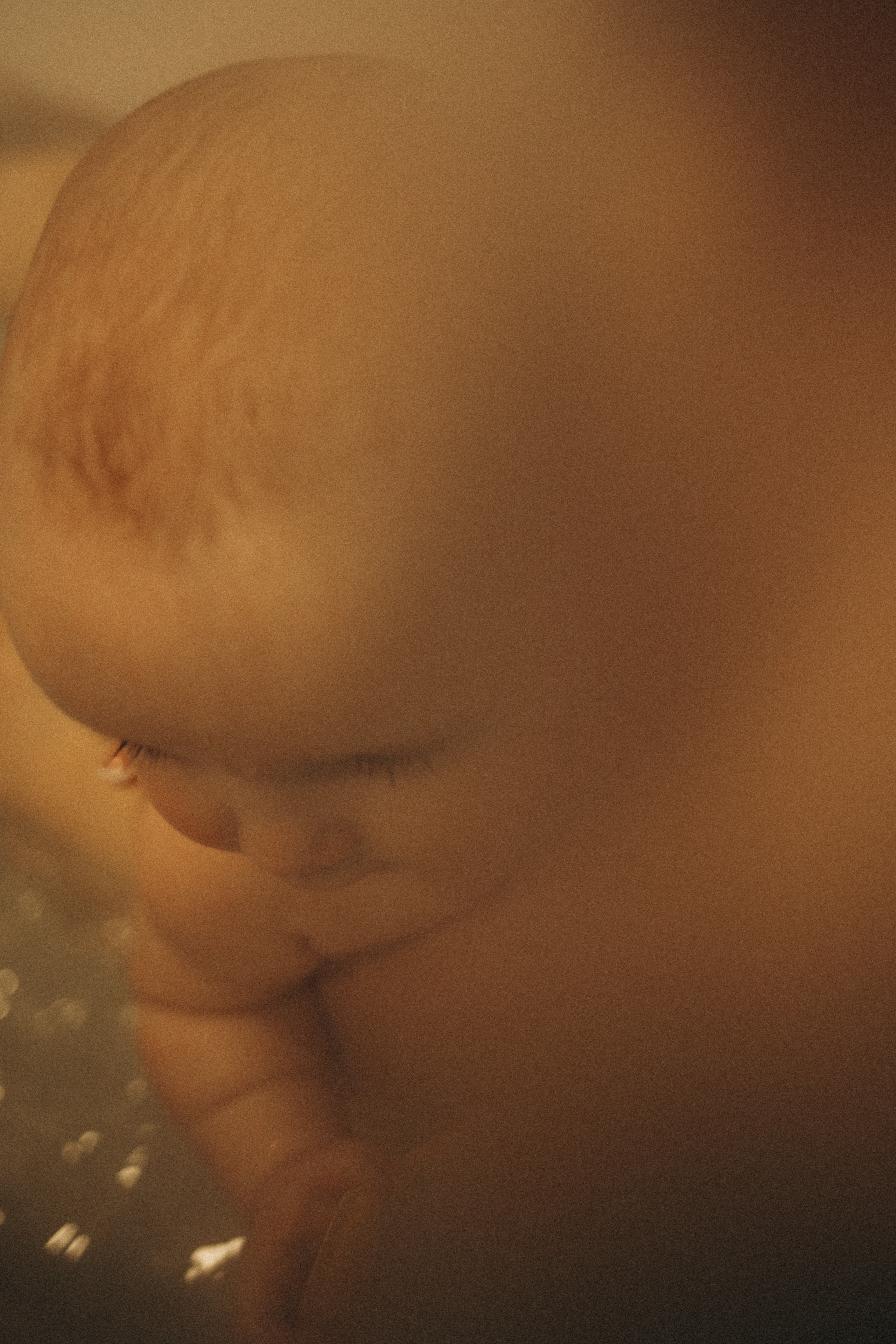 Счастливые моменты вместе. Фотограф Ольга Иванова Ярославль-Москва