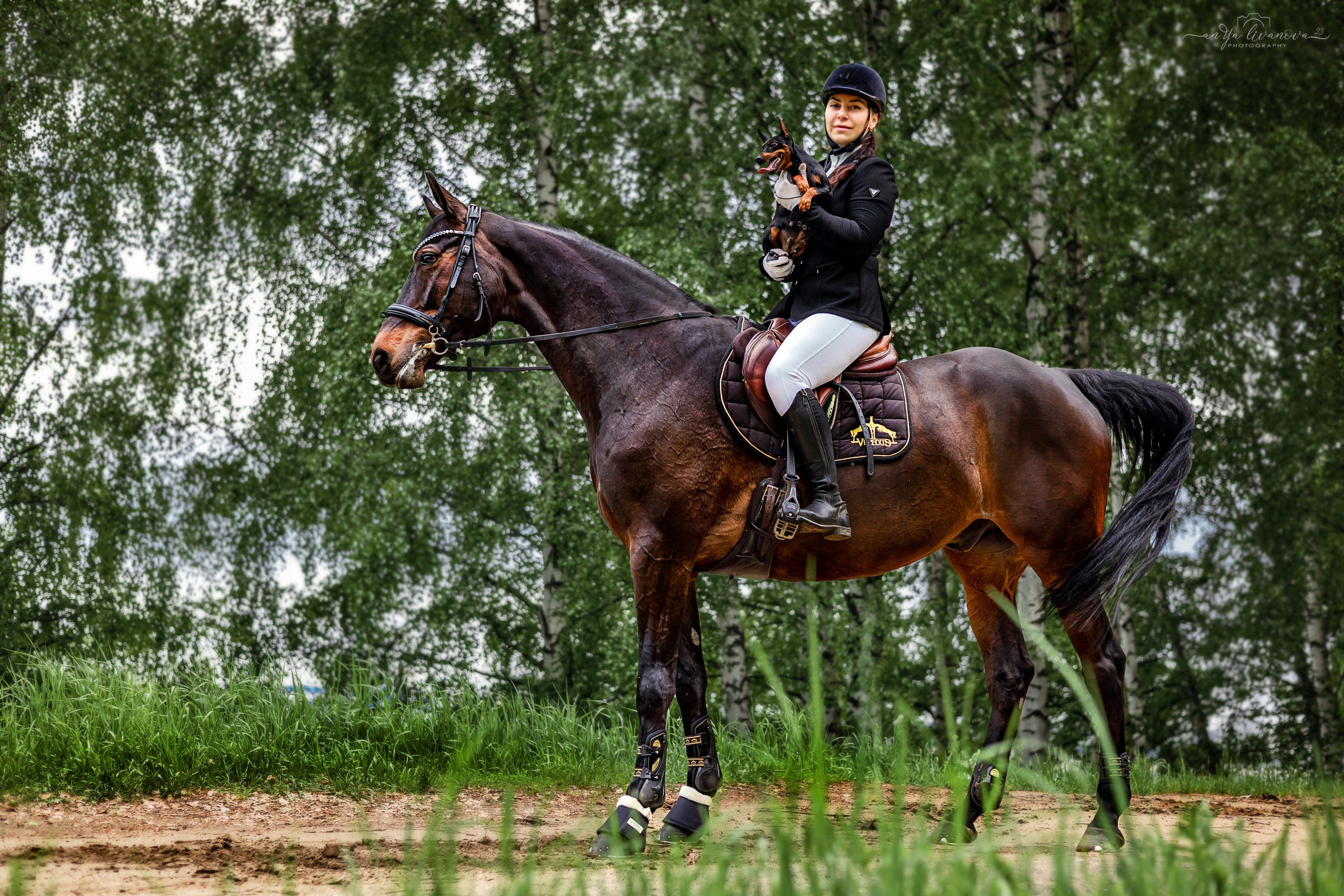 Конное…. Фотограф анималист Аня Ливанова | Рыбинск