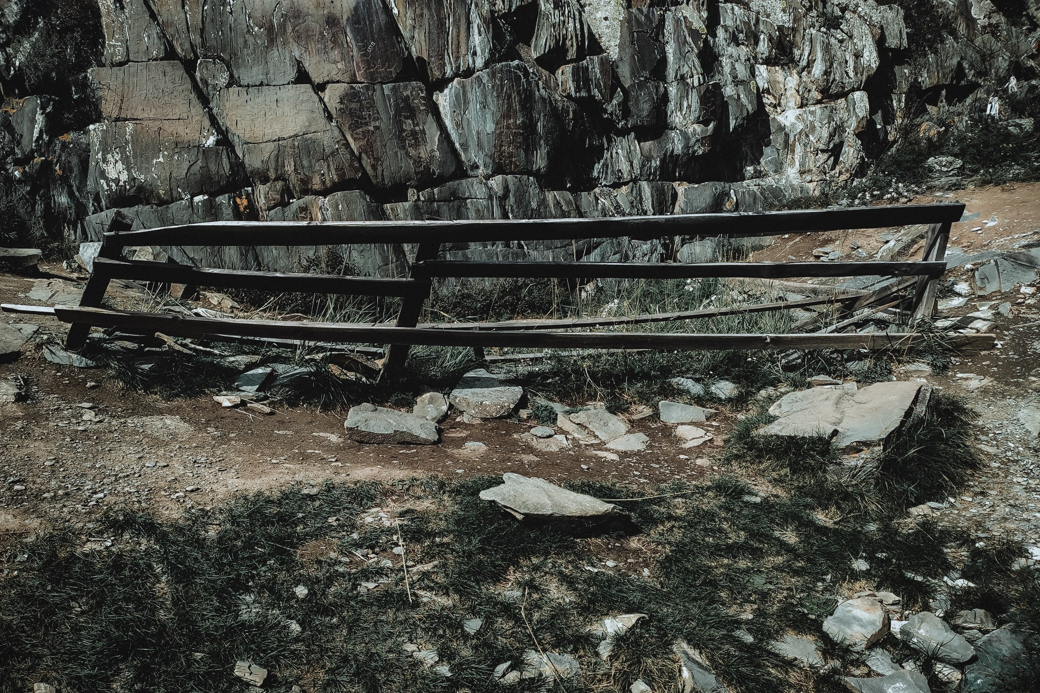 Алтай (мобилография). Фотограф в Москве, в Самаре Инна Мамонова