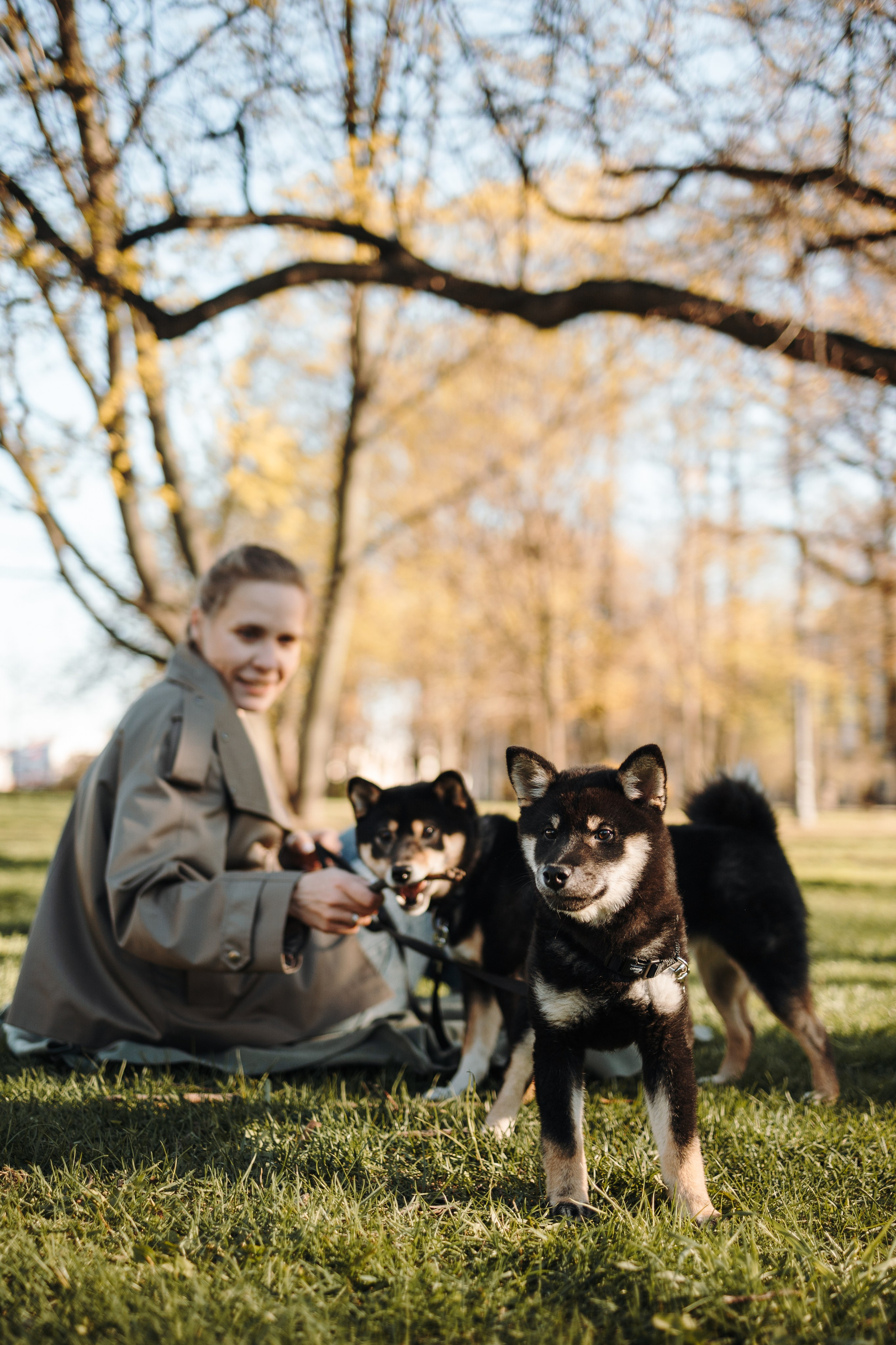 Даша и ее девочки. Фотограф — Анималист | Санкт-Петербург