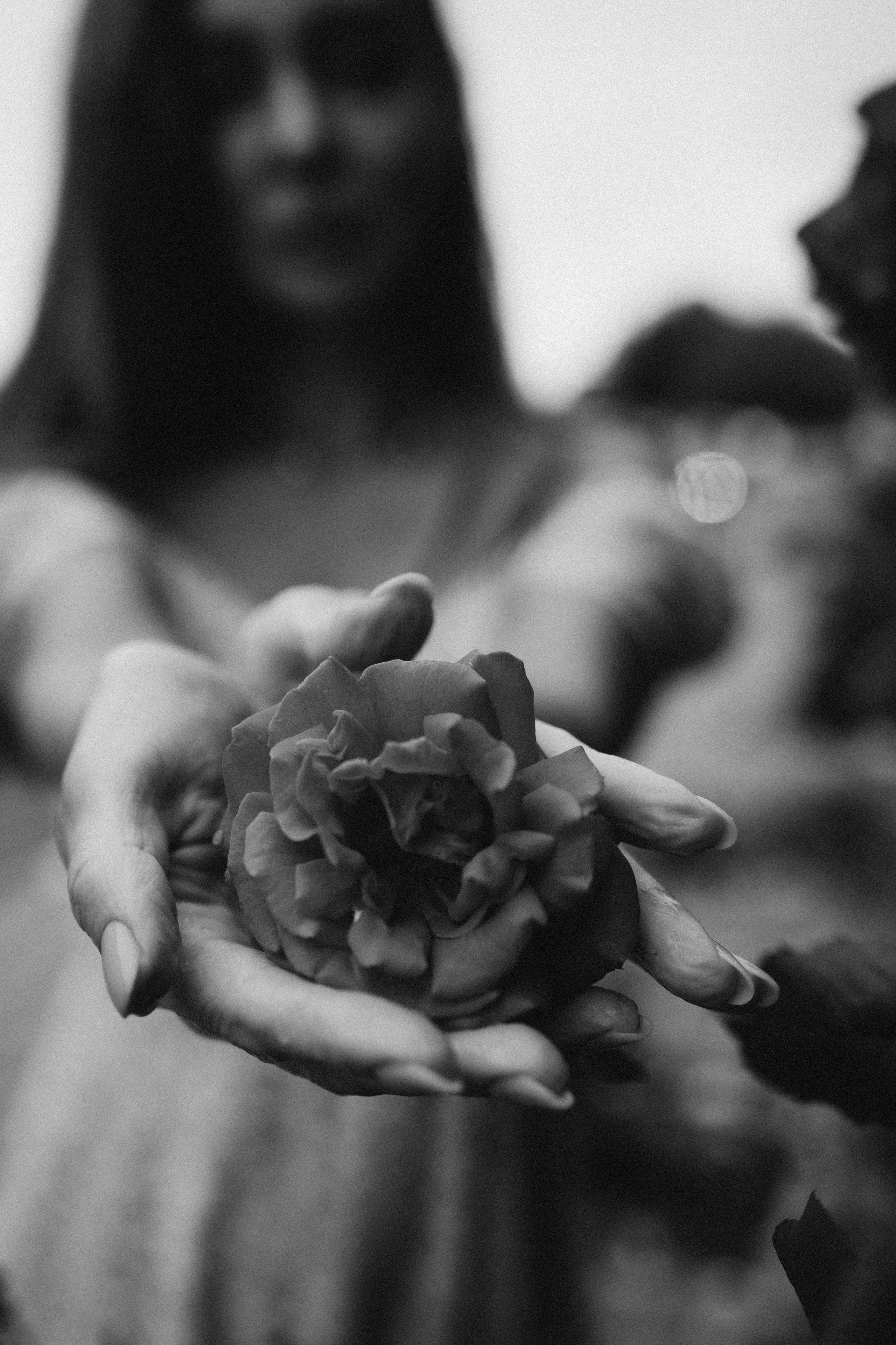 Лена розы. Дмитриева Светлана женский и семейный фотограф Рига, Москва, Геленджик