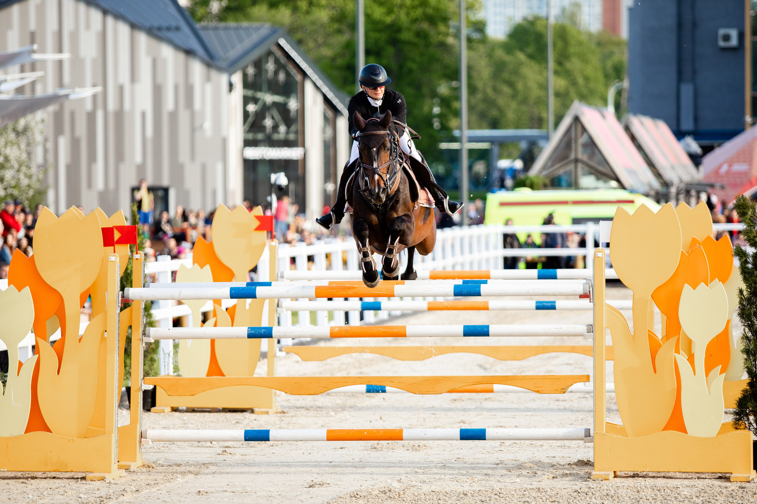 Турниры. Veronika Makeeva horse photo