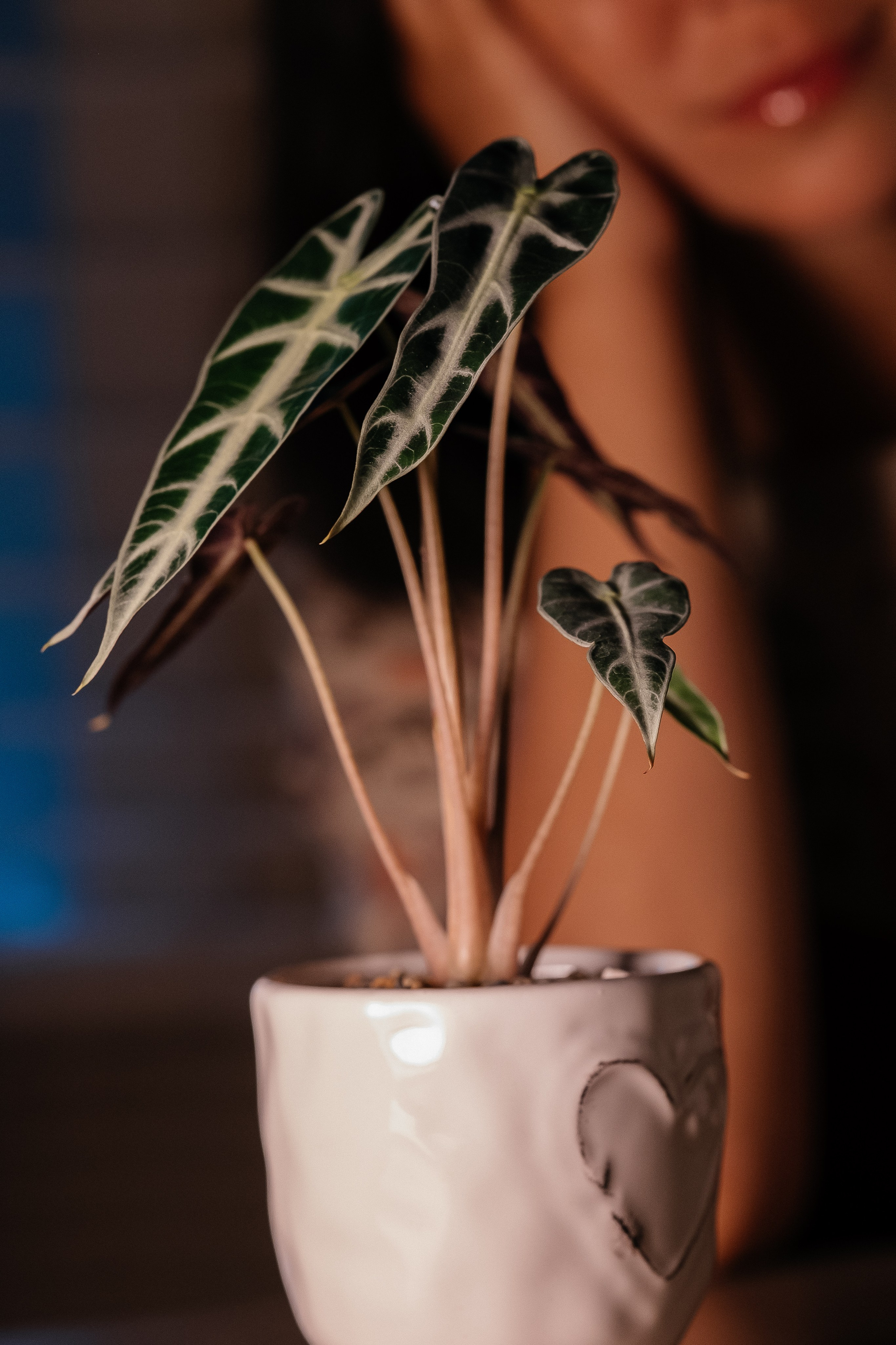 Домашняя фотосессия. Портретный фотограф в Чите Анна Камратова. Помогу Вам создать историю, в которой Вы — главный герой!