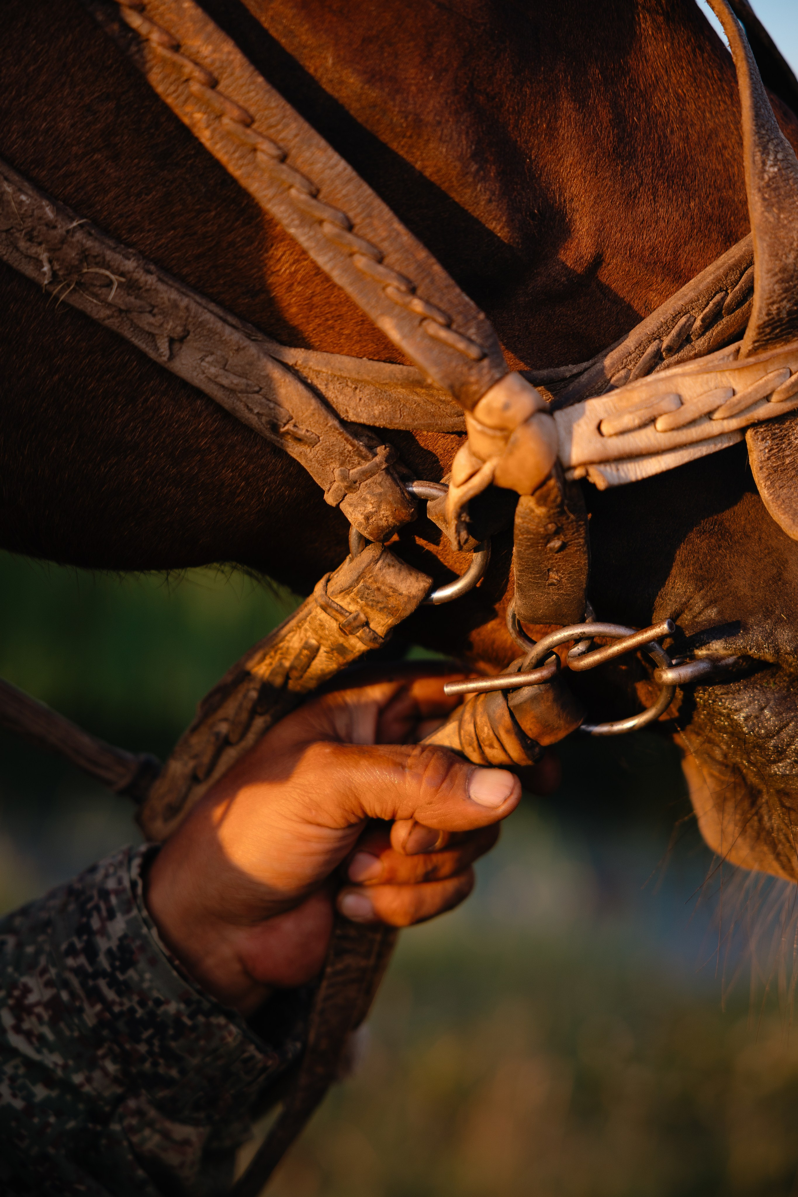 Д. Урасхан. Свадебный фотограф Виктория
