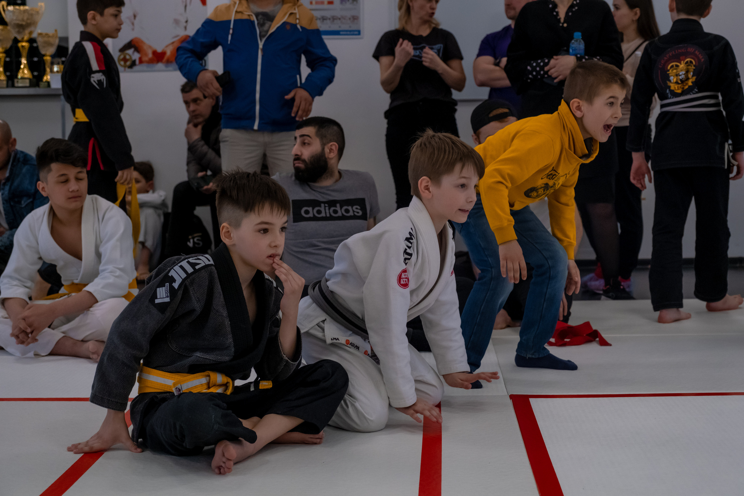 бжж, бразильское джиу-джитсу, соревнования по бразильскому джиу-джитсу, чемпионат России, неваза