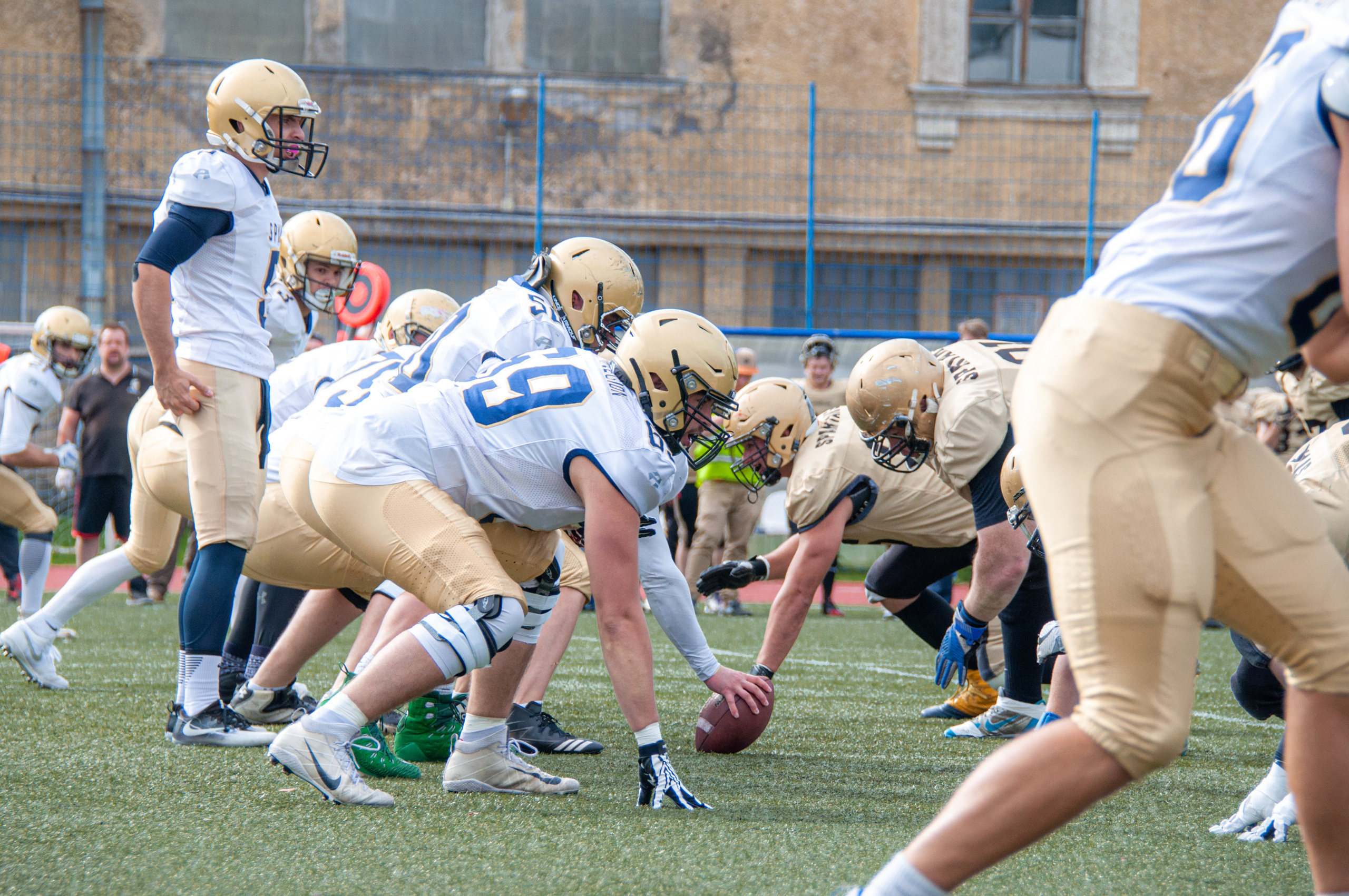 Американский футбол, амфут, регби, Гриффоны, Спартанцы, Легионеры