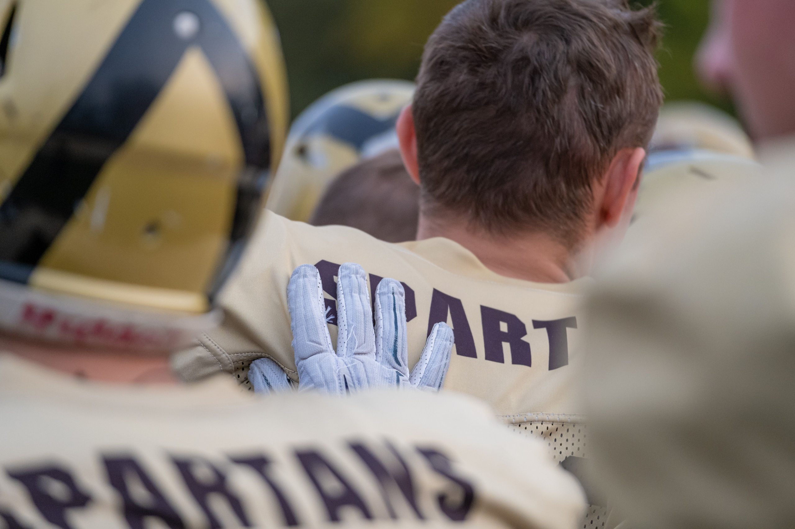 Американский футбол, амфут, регби, Гриффоны, Спартанцы, Легионеры