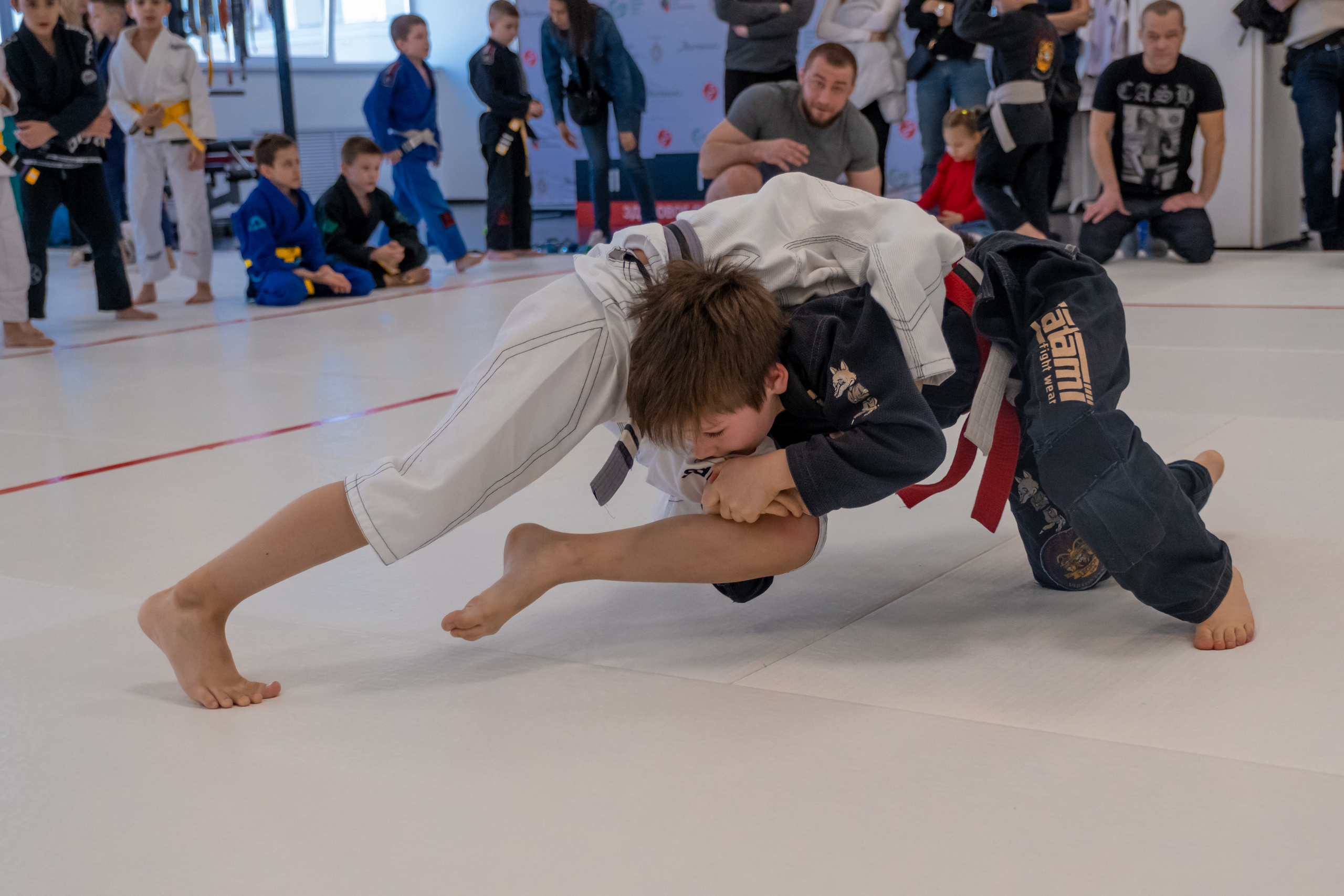 бжж, бразильское джиу-джитсу, соревнования по бразильскому джиу-джитсу, чемпионат России, неваза