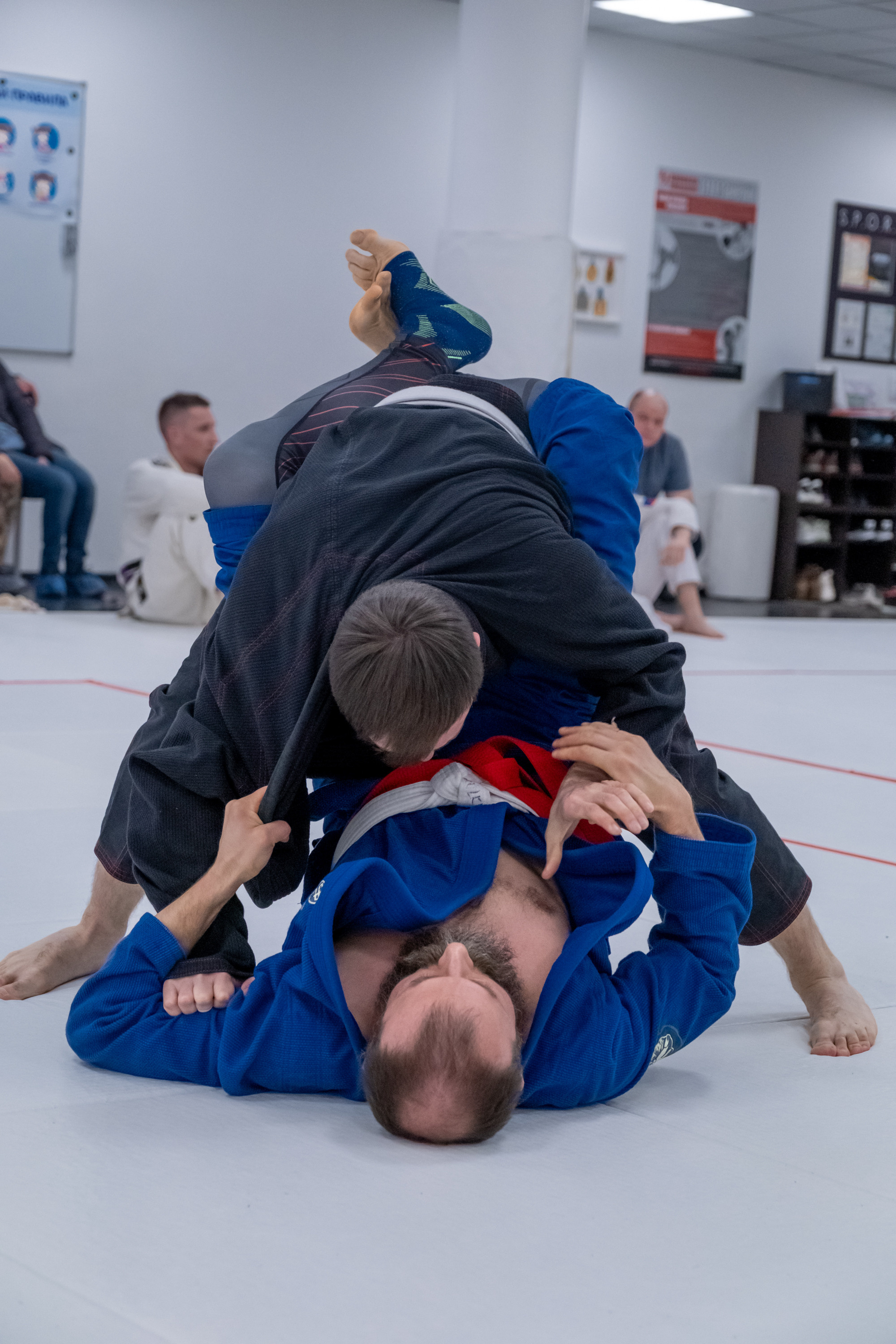 бжж, бразильское джиу-джитсу, соревнования по бразильскому джиу-джитсу, чемпионат России, неваза