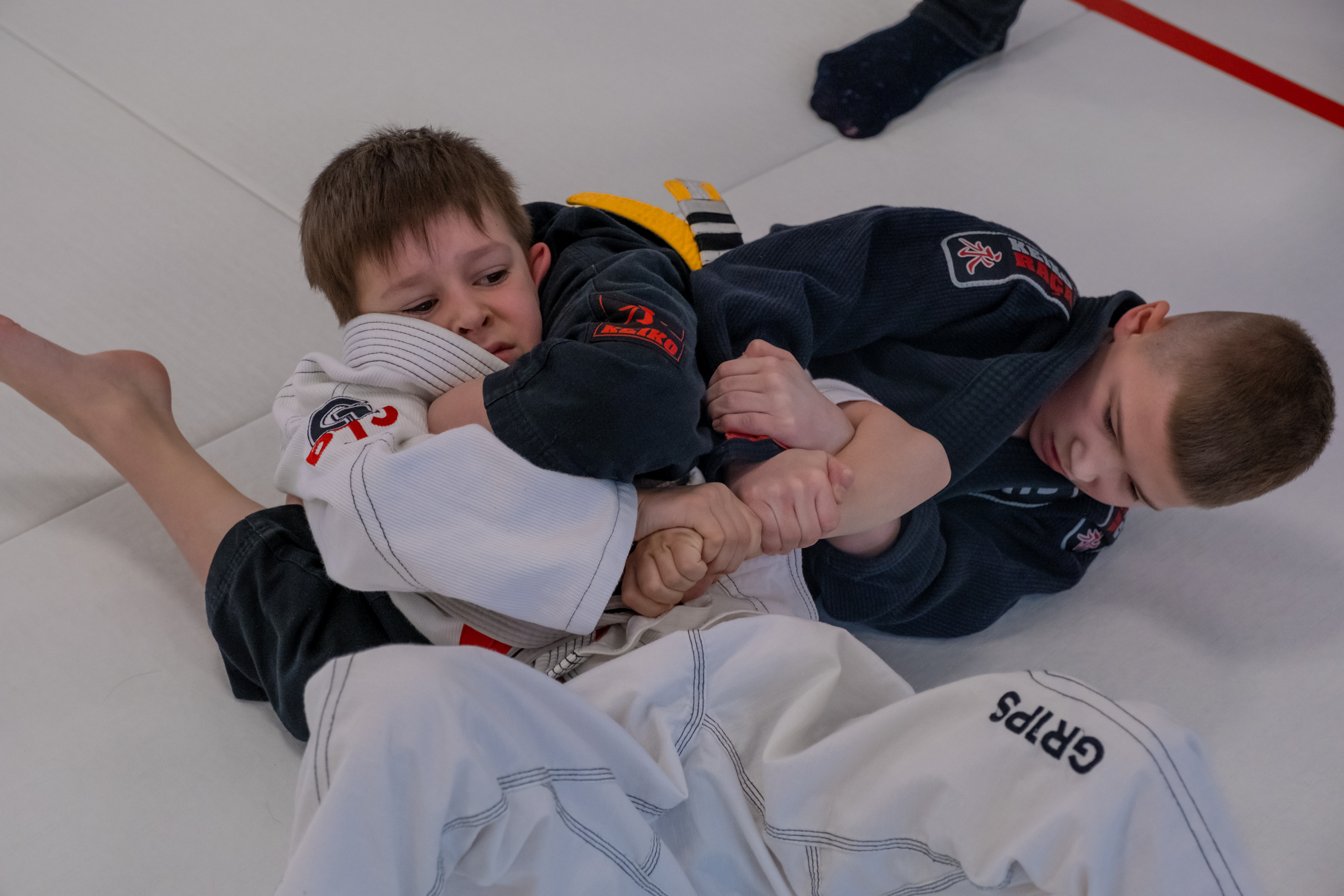 бжж, бразильское джиу-джитсу, соревнования по бразильскому джиу-джитсу, чемпионат России, неваза