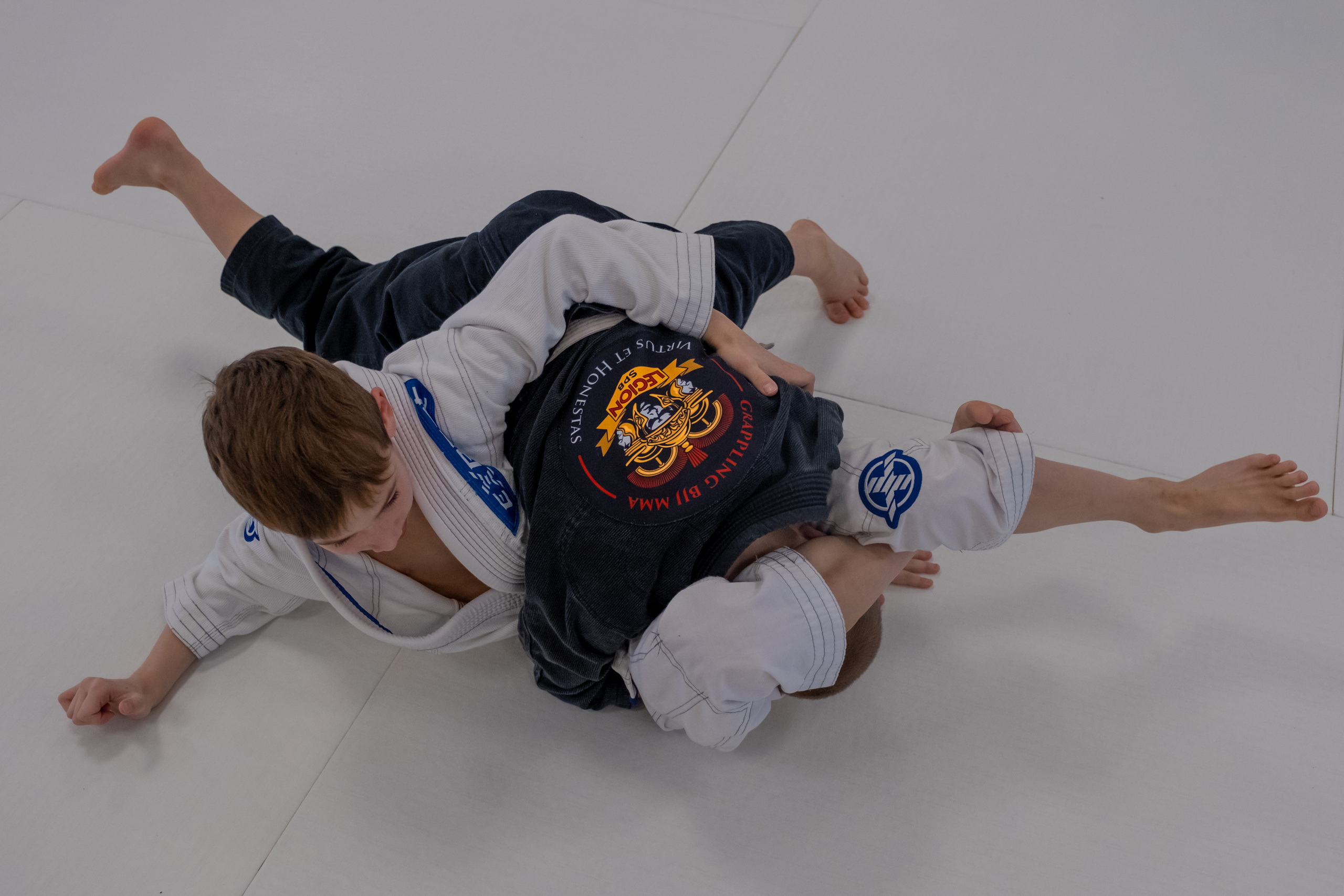 бжж, бразильское джиу-джитсу, соревнования по бразильскому джиу-джитсу, чемпионат России, неваза