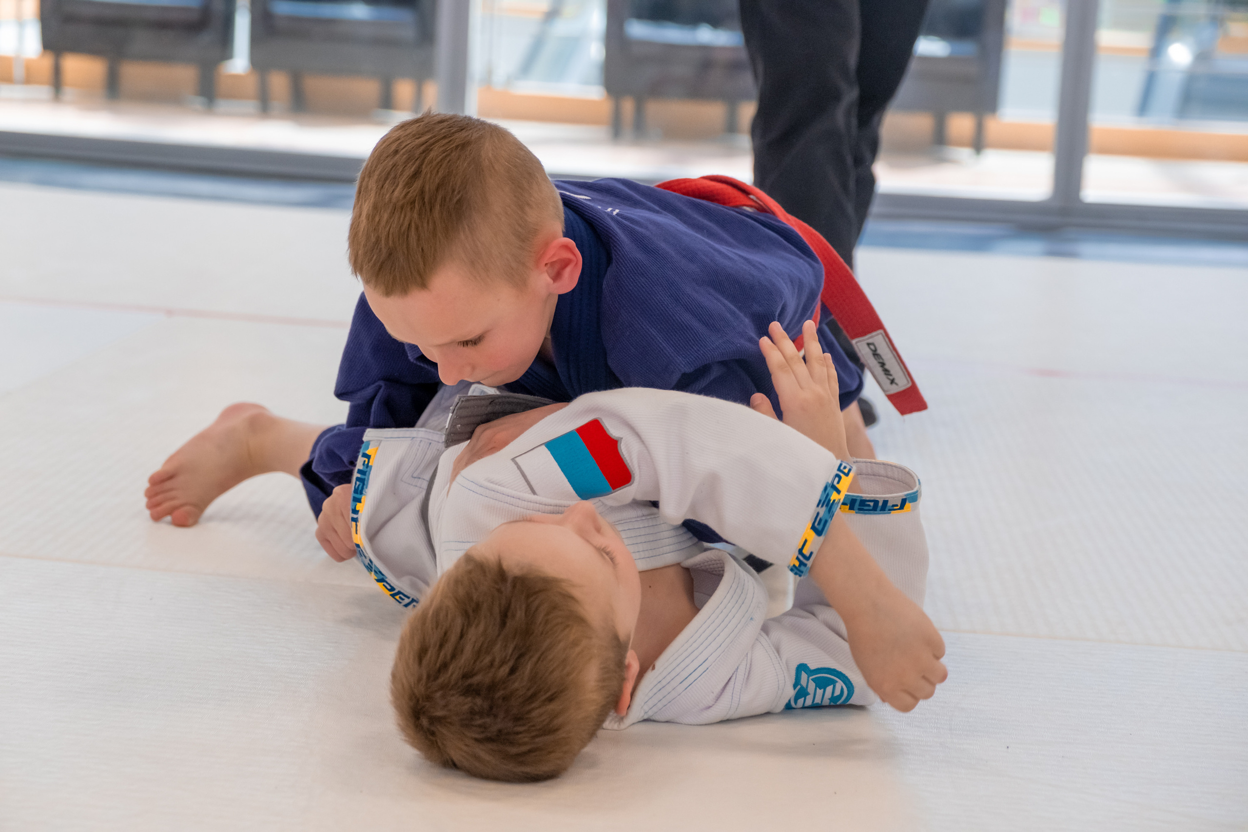 бжж, бразильское джиу-джитсу, соревнования по бразильскому джиу-джитсу, чемпионат России, неваза