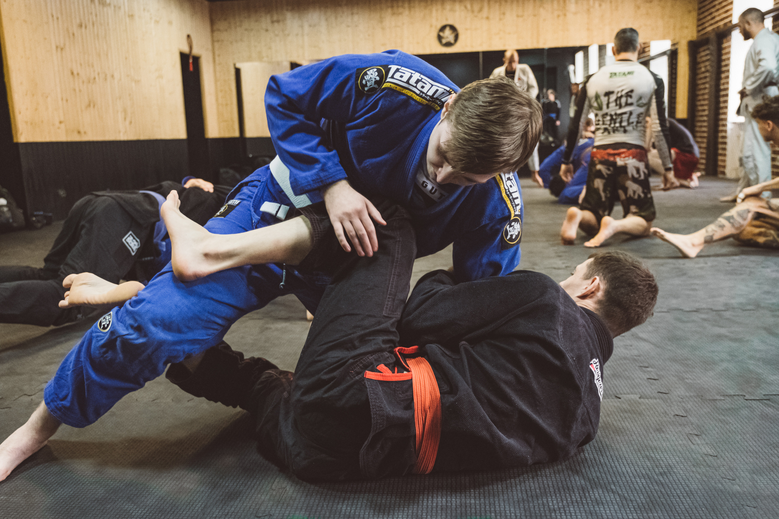 Тренировочный процесс. Спортивный и портретный фотограф в Санкт-Петербурге Дарья Кашина