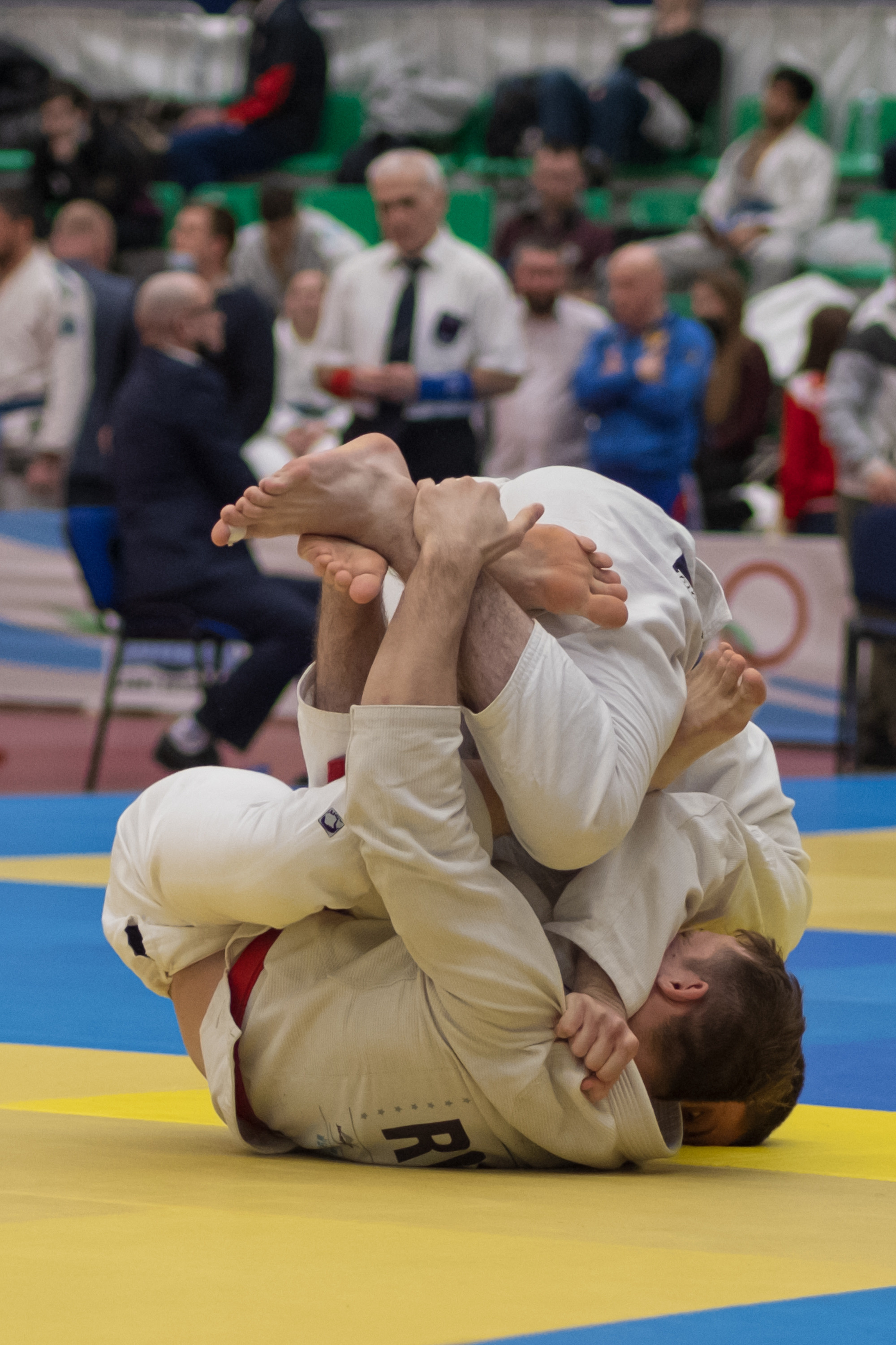 бжж, бразильское джиу-джитсу, соревнования по бразильскому джиу-джитсу, чемпионат России, неваза
