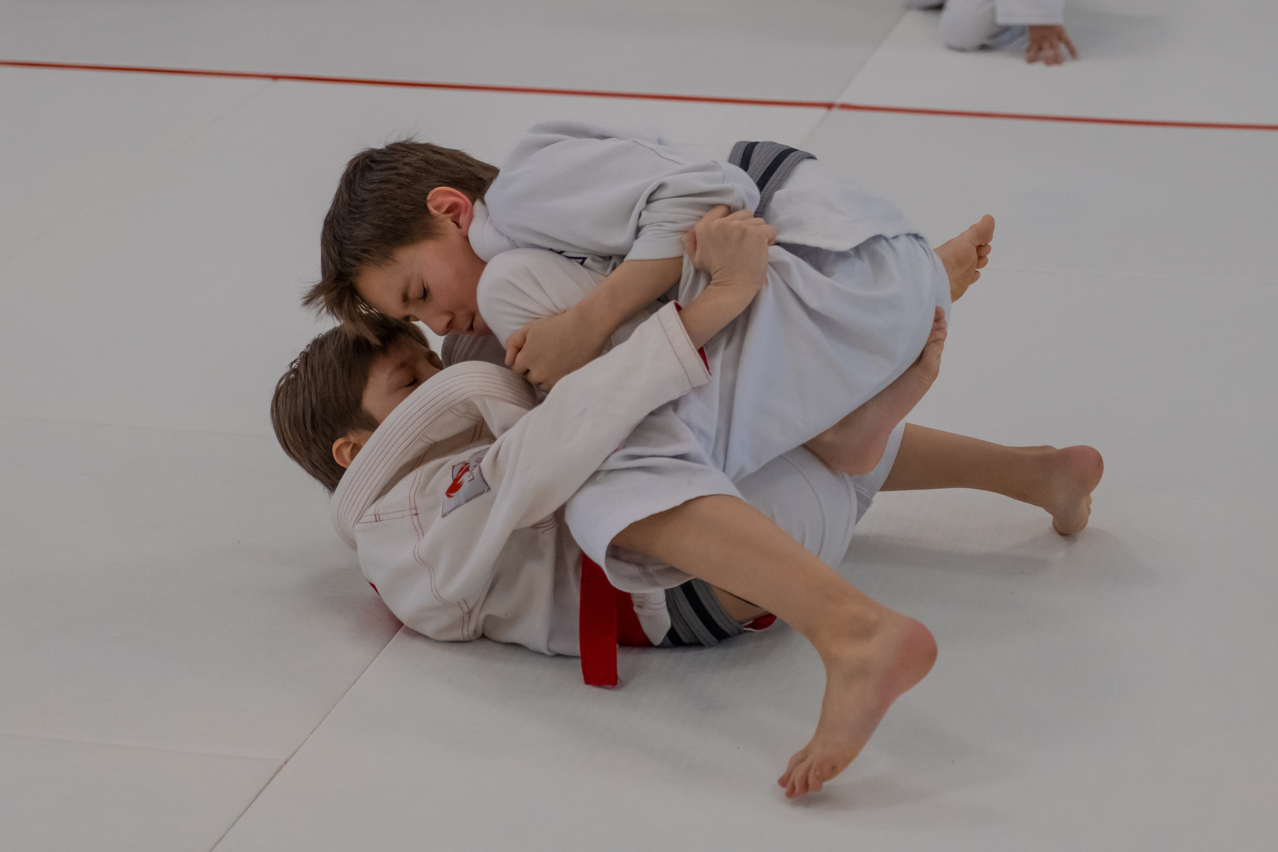 бжж, бразильское джиу-джитсу, соревнования по бразильскому джиу-джитсу, чемпионат России, неваза