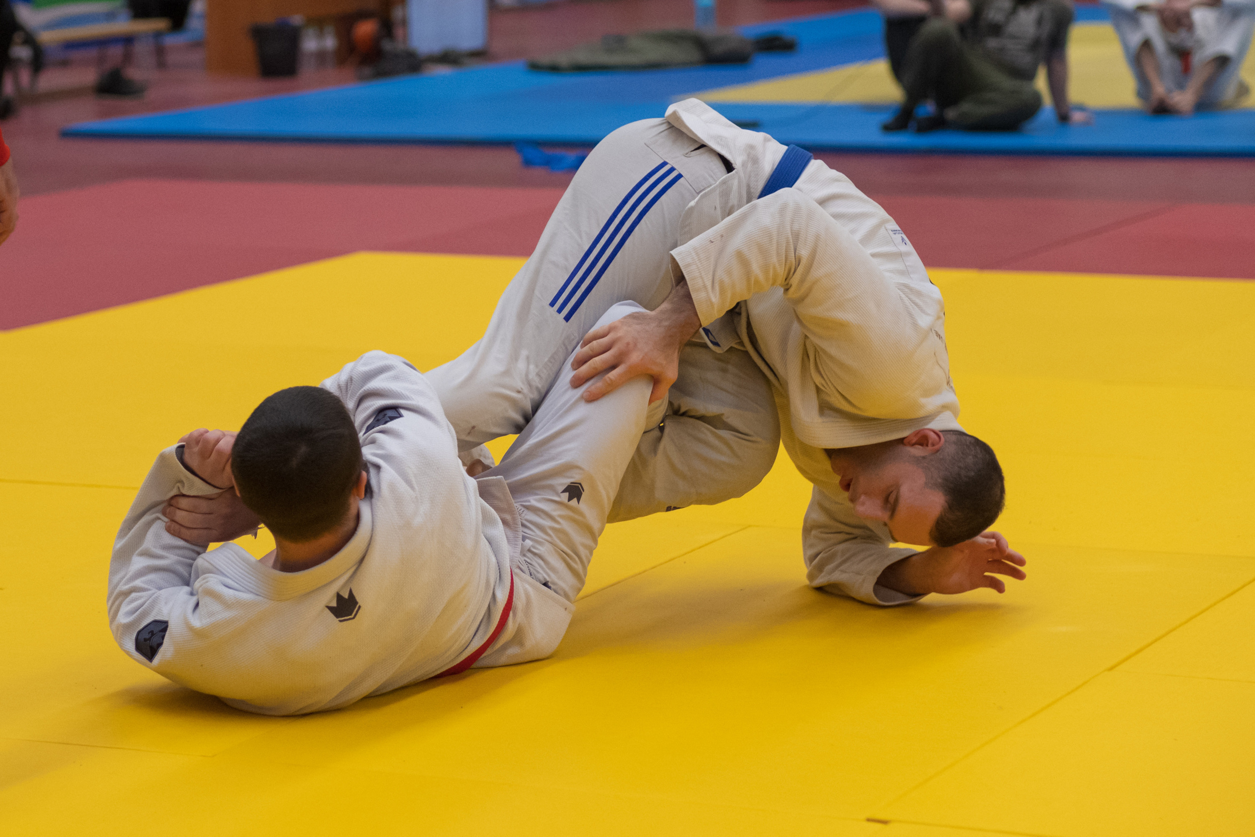 бжж, бразильское джиу-джитсу, соревнования по бразильскому джиу-джитсу, чемпионат России, неваза