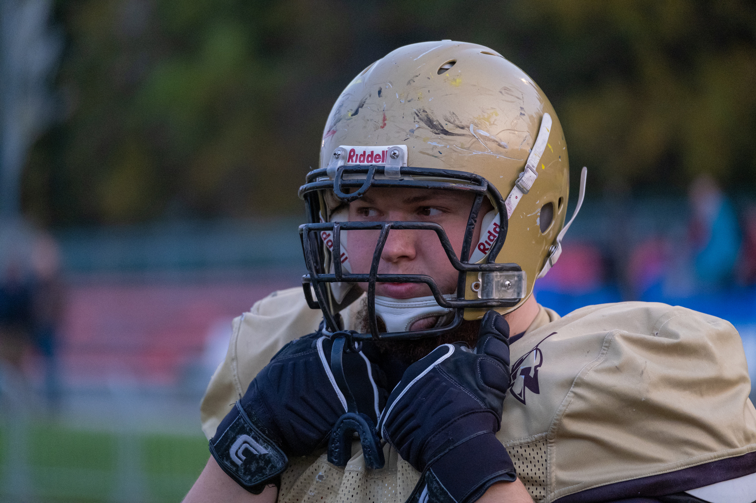 Американский футбол, амфут, регби, Гриффоны, Спартанцы, Легионеры