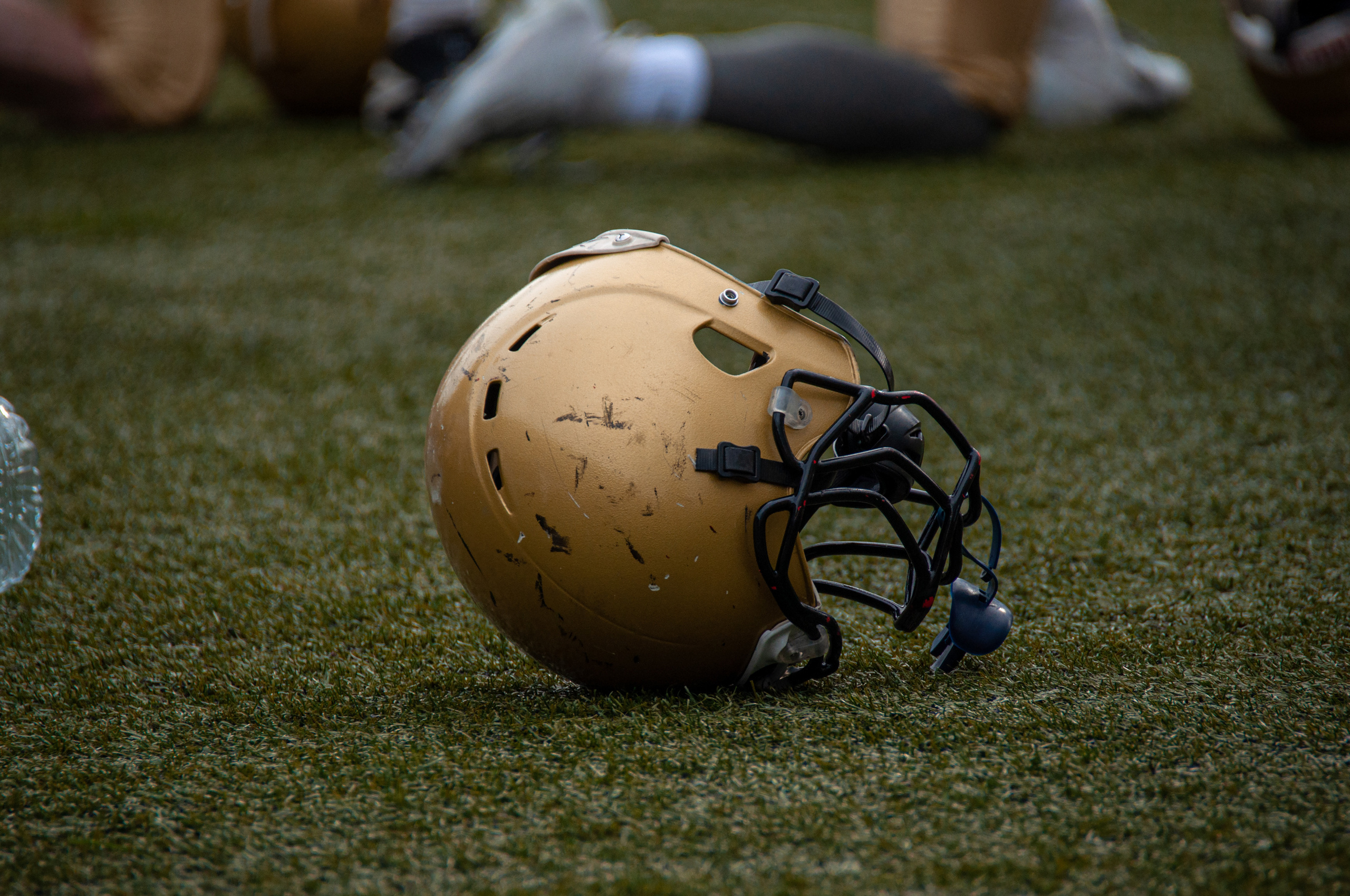 Американский футбол, амфут, регби, Гриффоны, Спартанцы, Легионеры