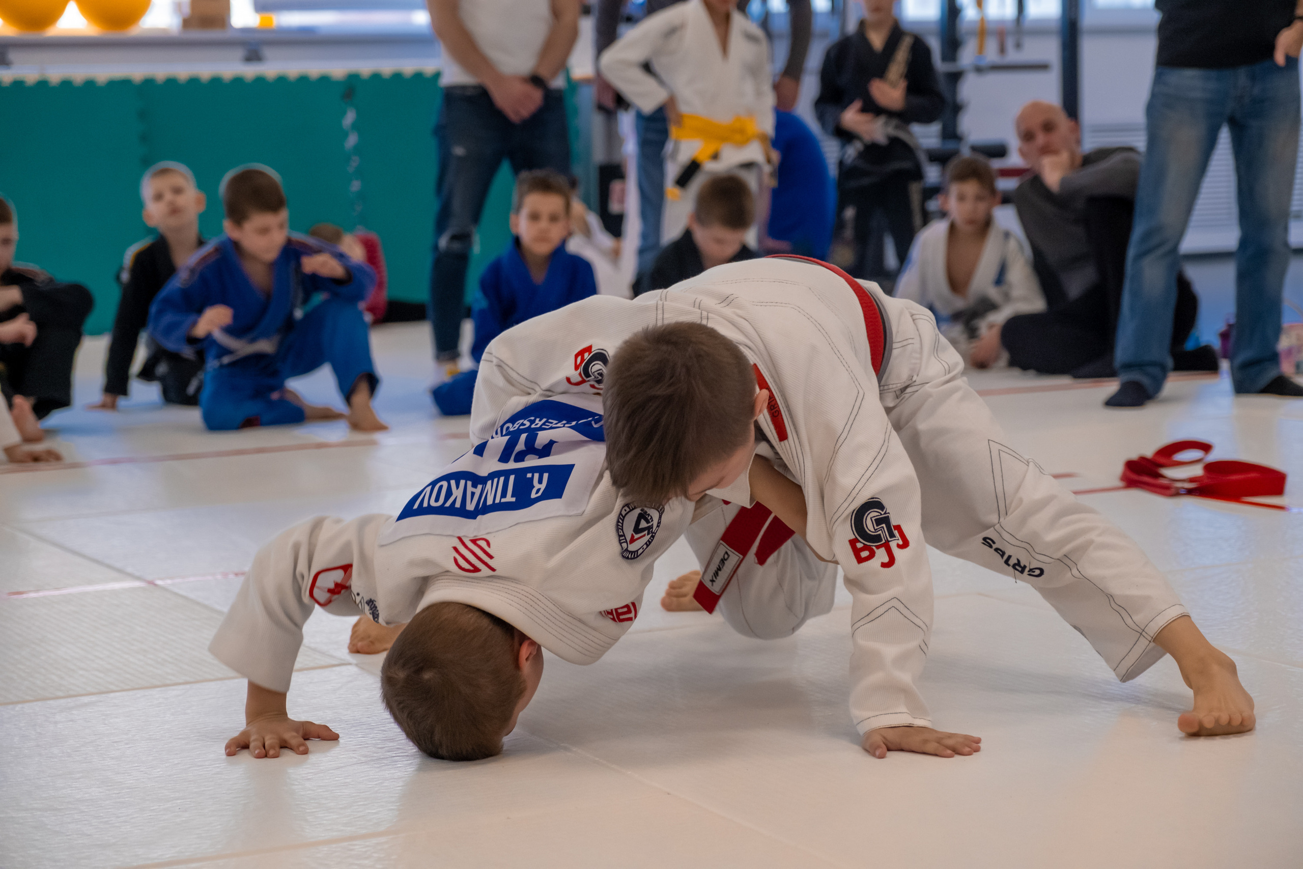 бжж, бразильское джиу-джитсу, соревнования по бразильскому джиу-джитсу, чемпионат России, неваза