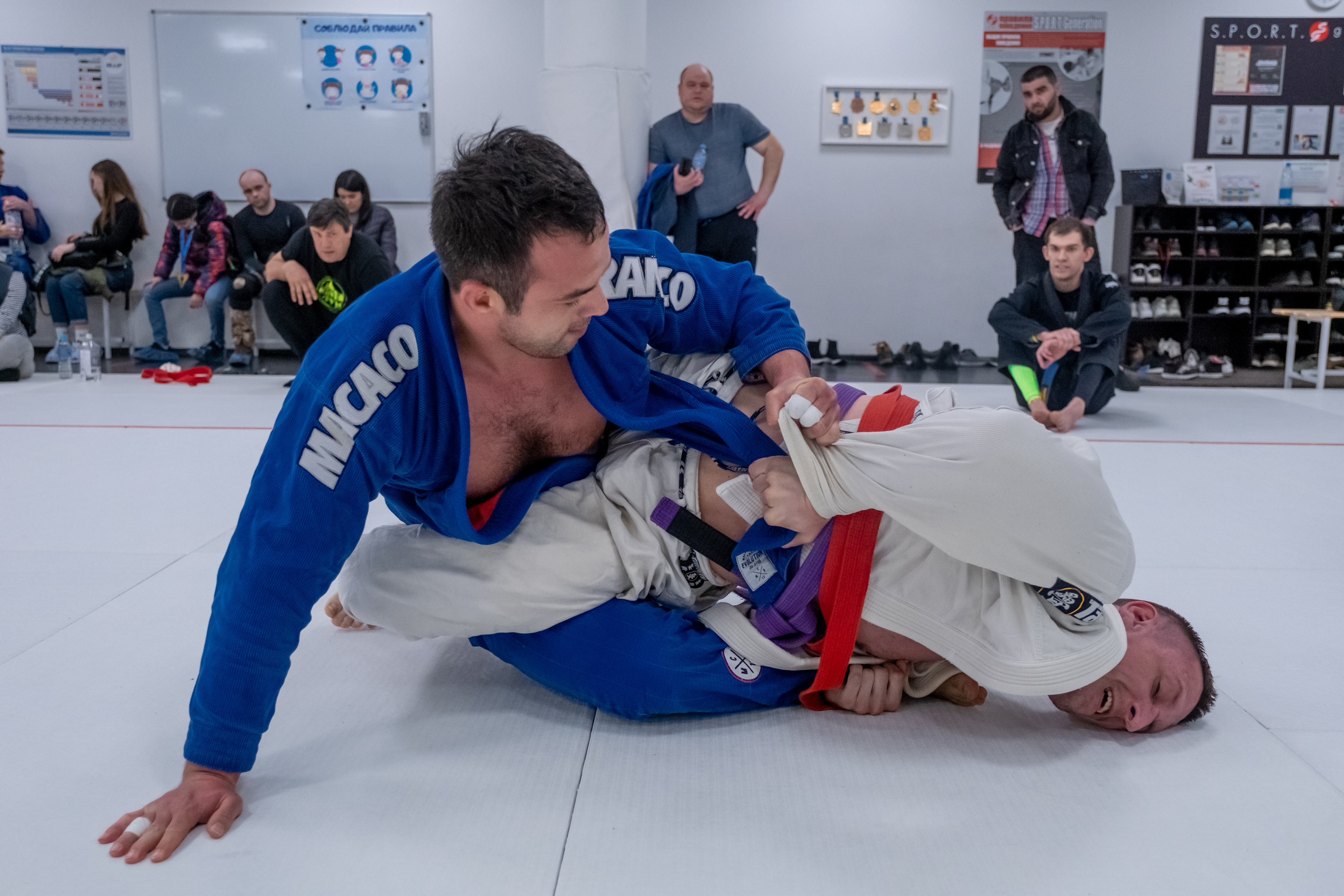 бжж, бразильское джиу-джитсу, соревнования по бразильскому джиу-джитсу, чемпионат России, неваза