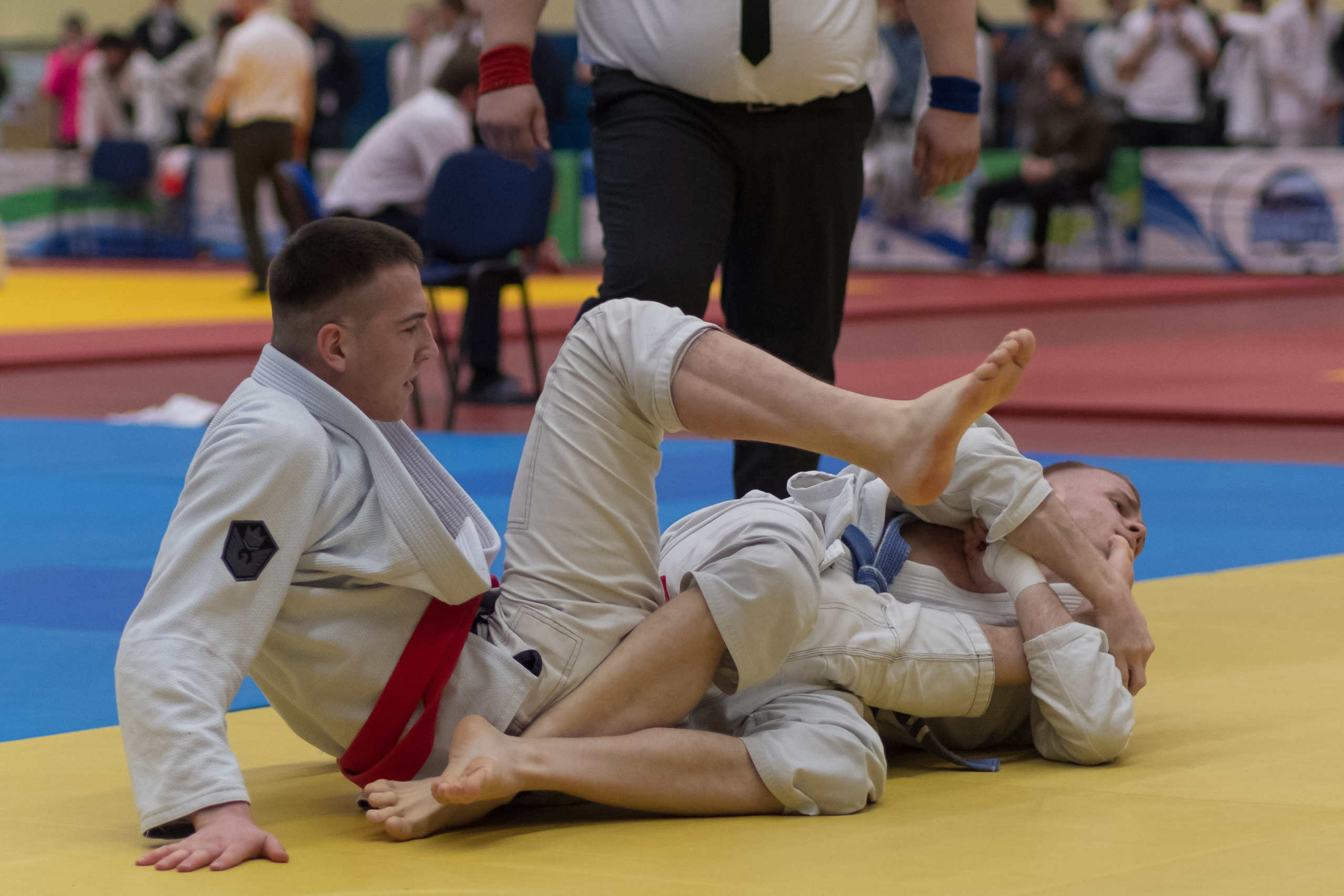 бжж, бразильское джиу-джитсу, соревнования по бразильскому джиу-джитсу, чемпионат России, неваза