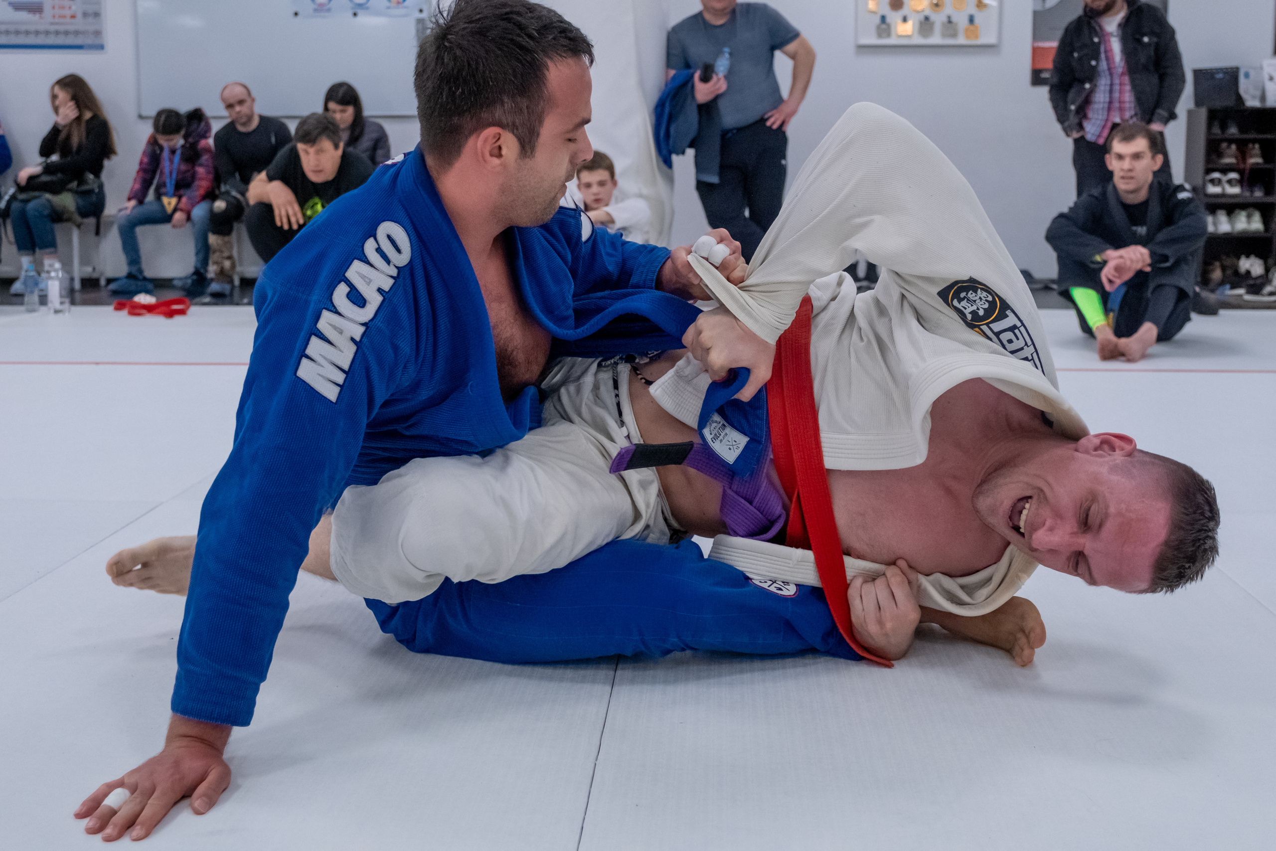 бжж, бразильское джиу-джитсу, соревнования по бразильскому джиу-джитсу, чемпионат России, неваза