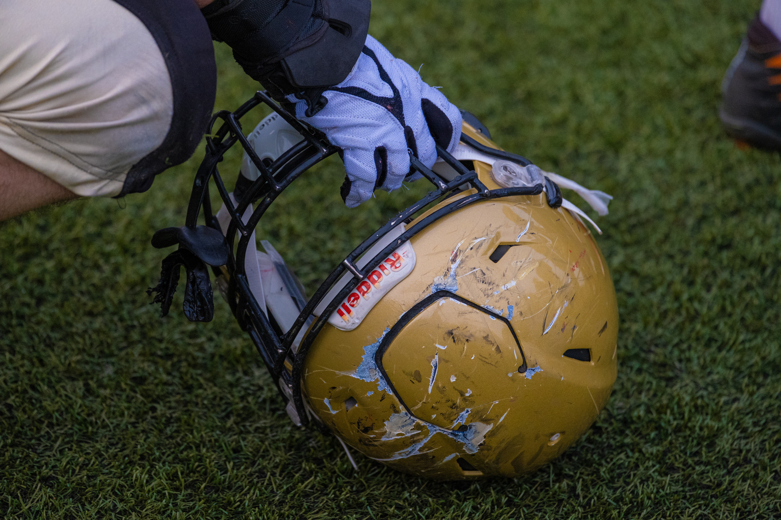 Американский футбол, амфут, регби, Гриффоны, Спартанцы, Легионеры