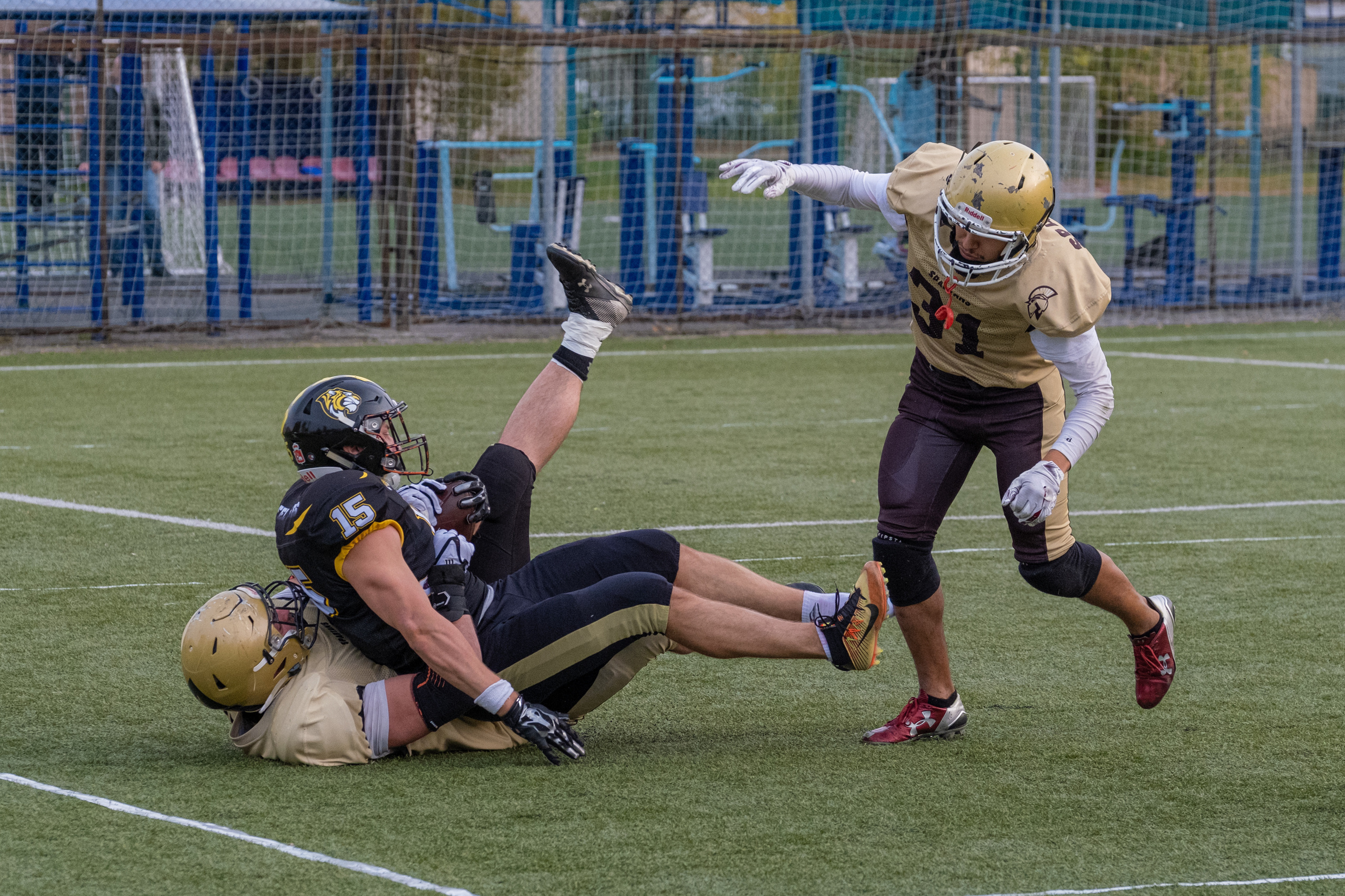 Американский футбол, амфут, регби, Гриффоны, Спартанцы, Легионеры