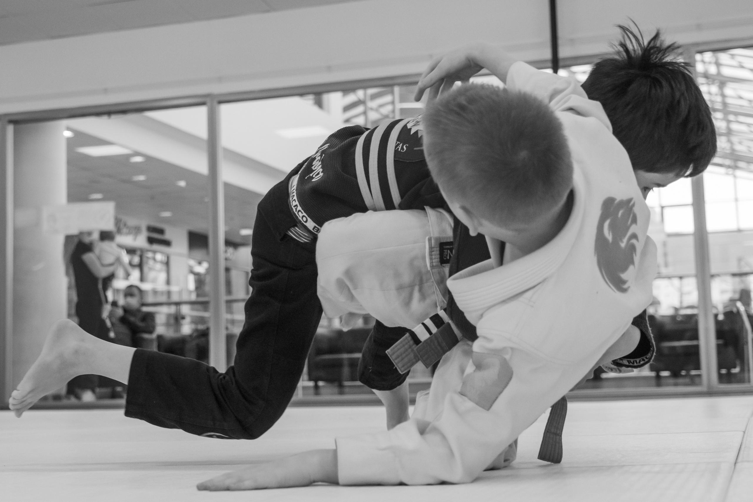 бжж, бразильское джиу-джитсу, соревнования по бразильскому джиу-джитсу, чемпионат России, неваза