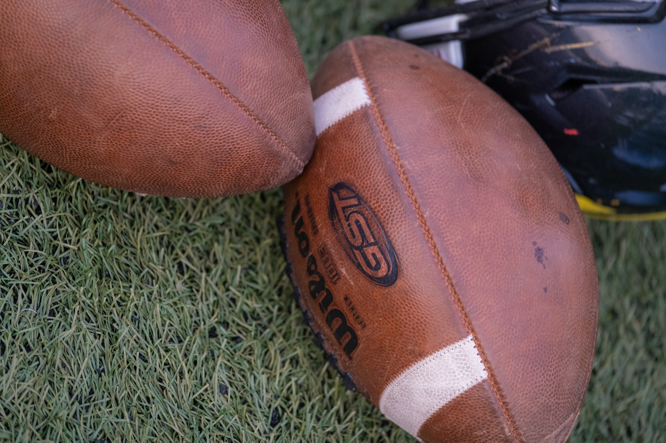 Американский футбол, амфут, регби, Гриффоны, Спартанцы, Легионеры