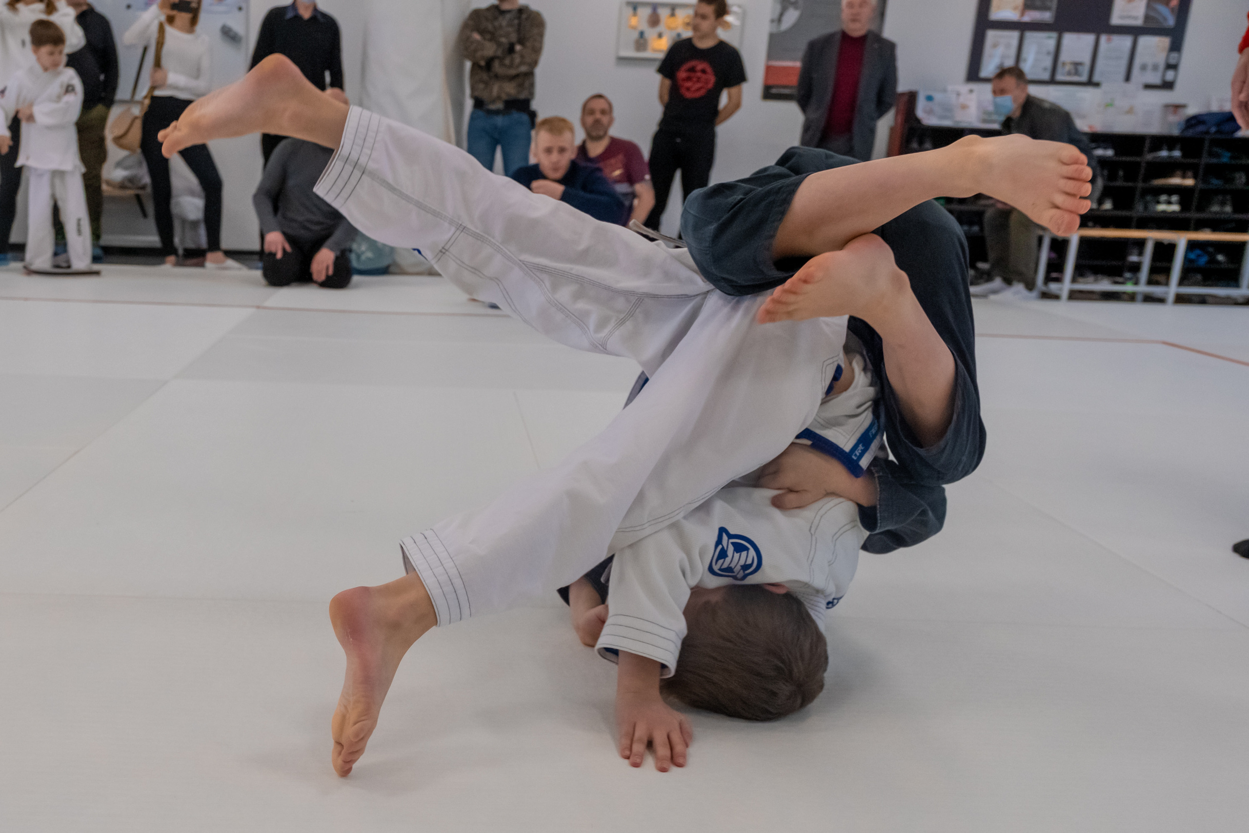 бжж, бразильское джиу-джитсу, соревнования по бразильскому джиу-джитсу, чемпионат России, неваза