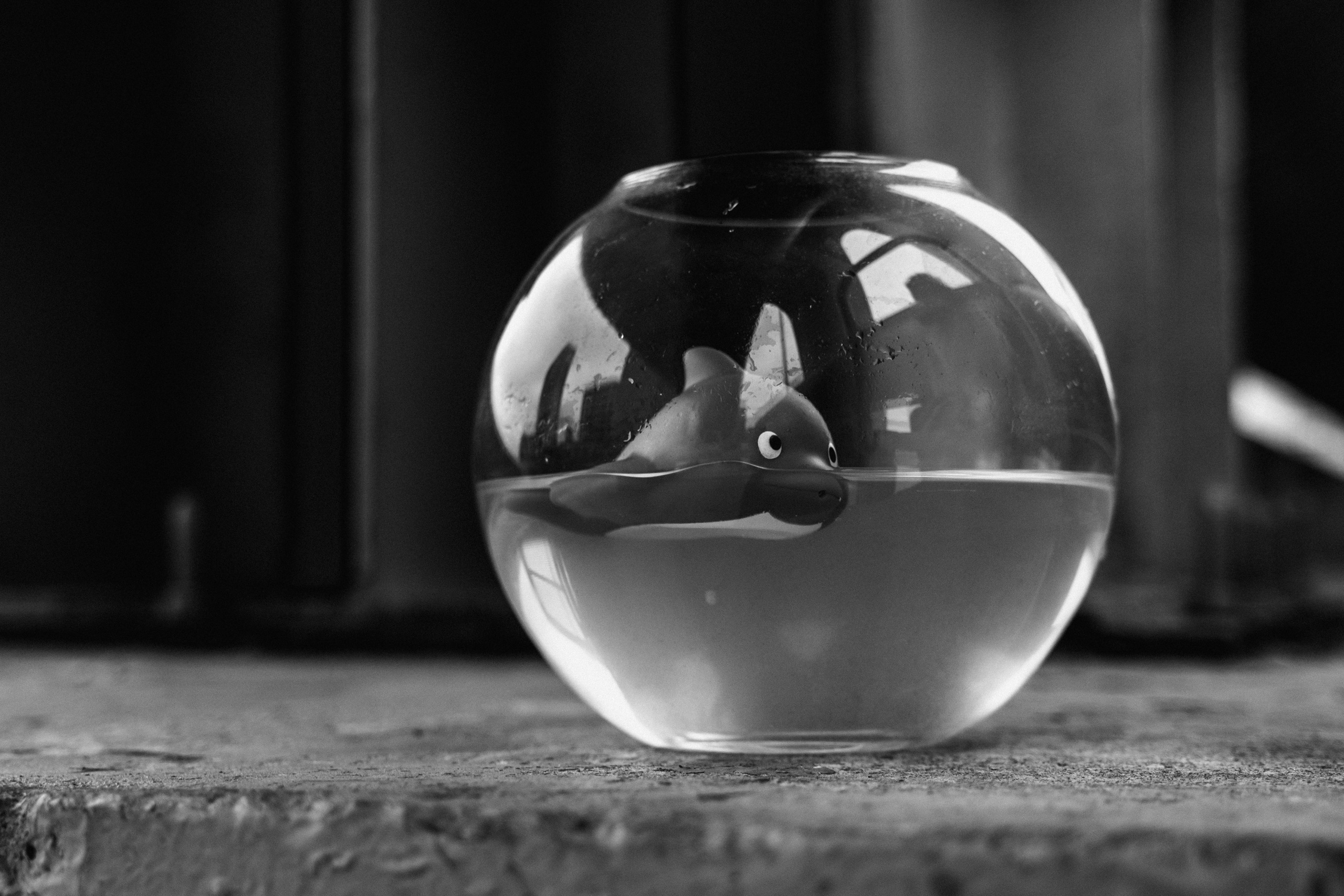 Яна. Спортивный и портретный фотограф в Санкт-Петербурге Дарья Кашина