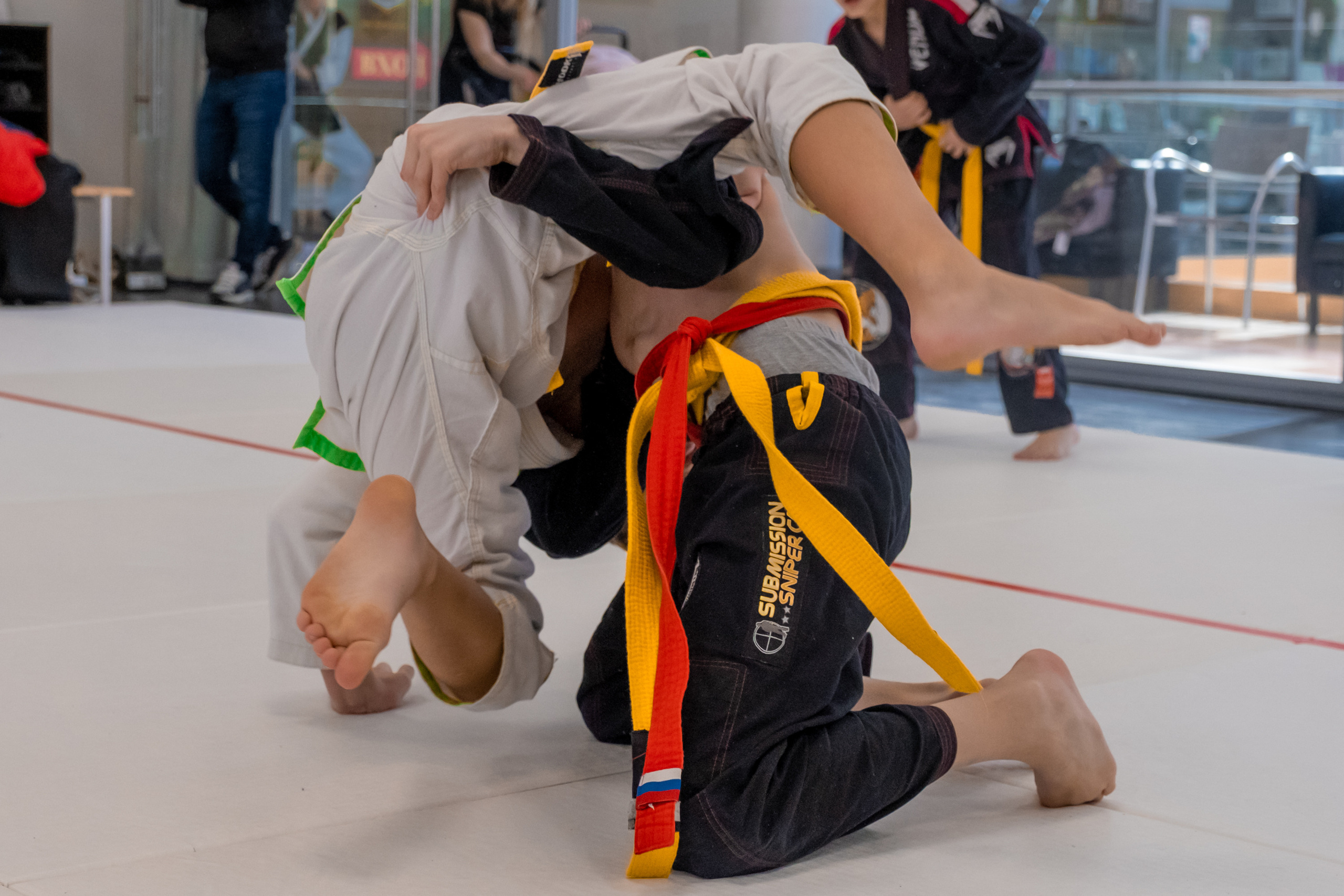 бжж, бразильское джиу-джитсу, соревнования по бразильскому джиу-джитсу, чемпионат России, неваза