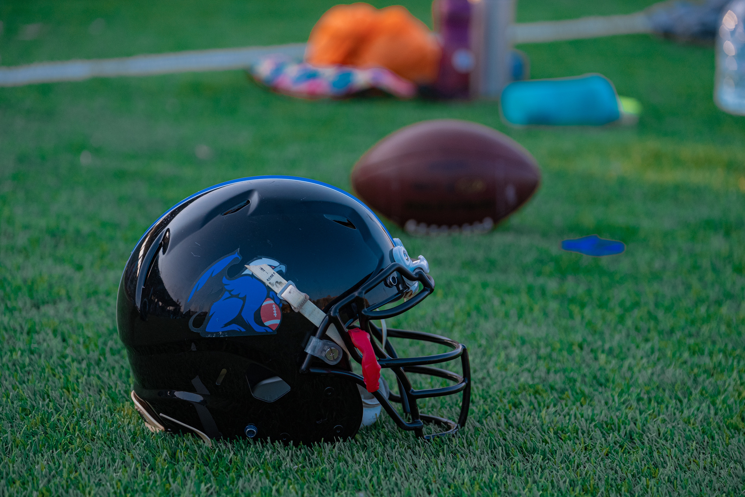 Американский футбол, амфут, регби, Гриффоны, Спартанцы, Легионеры